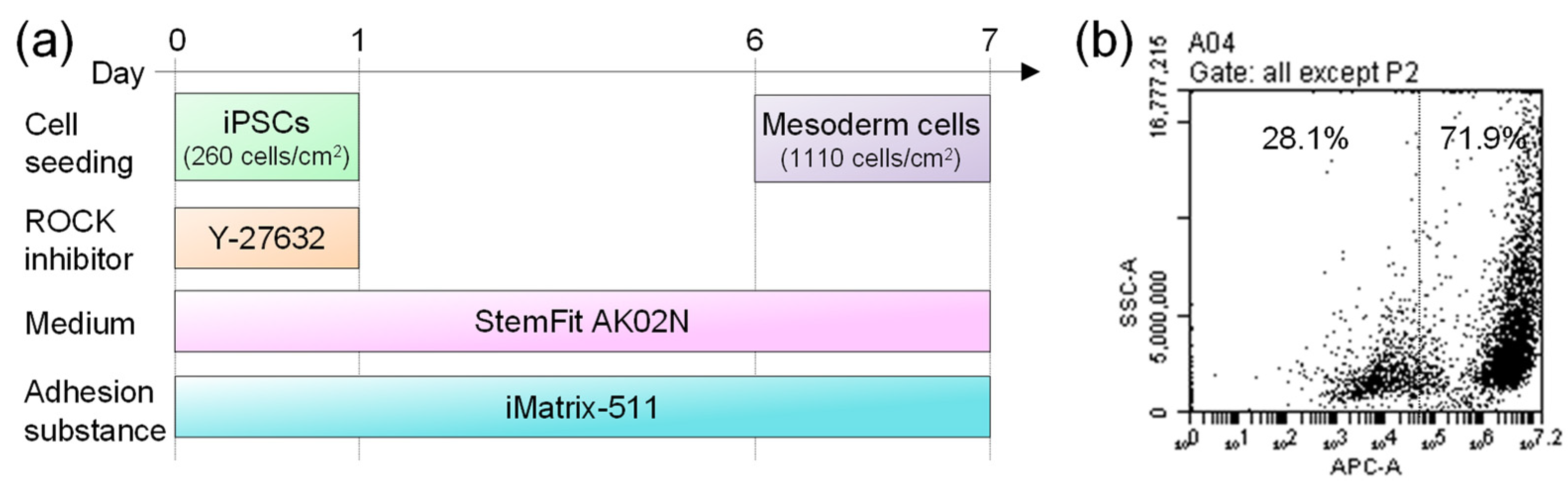 Macromol 03 00014 g002 Macromol 03 00014 g002