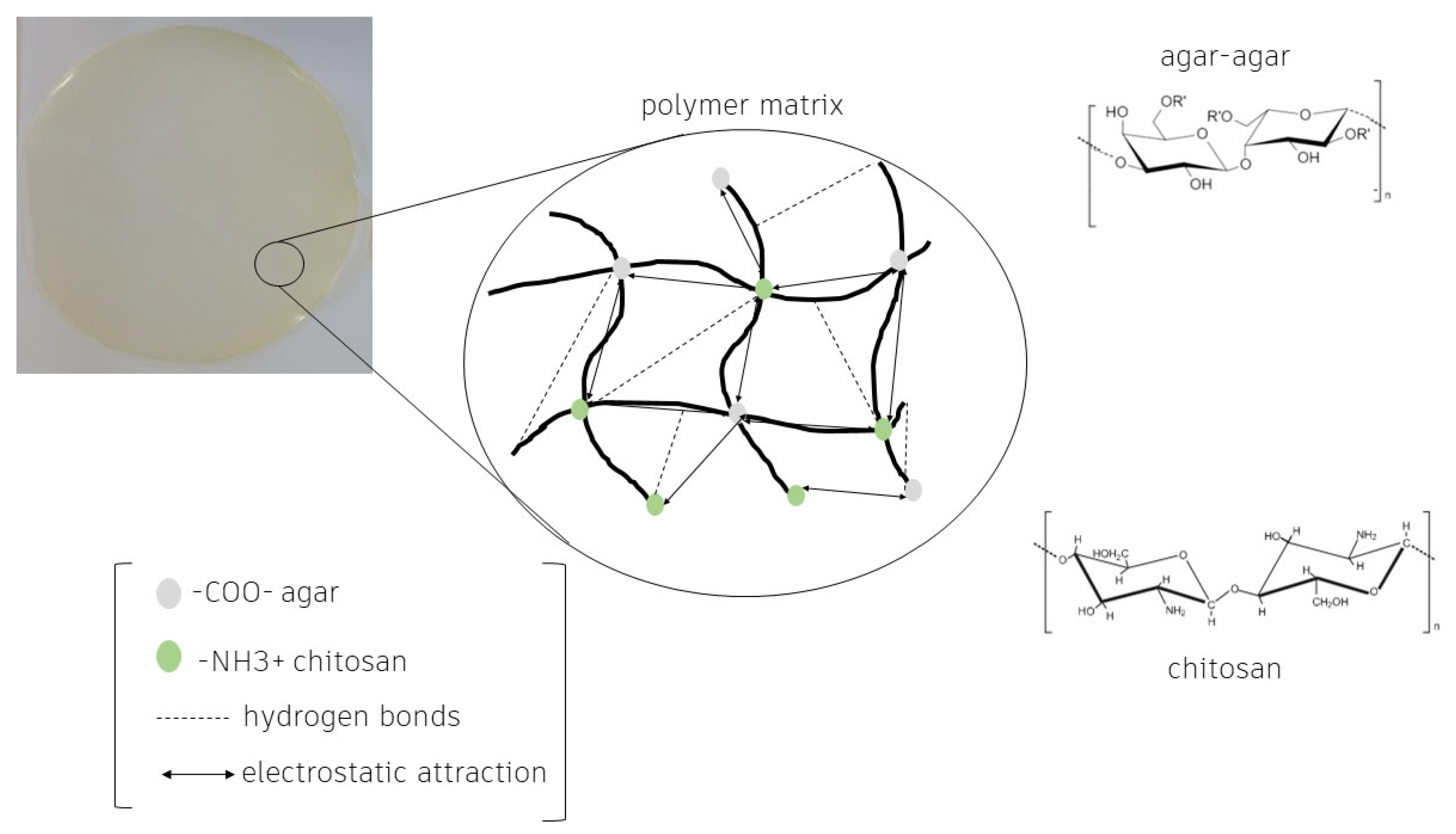 Macromol 03 00017 g002