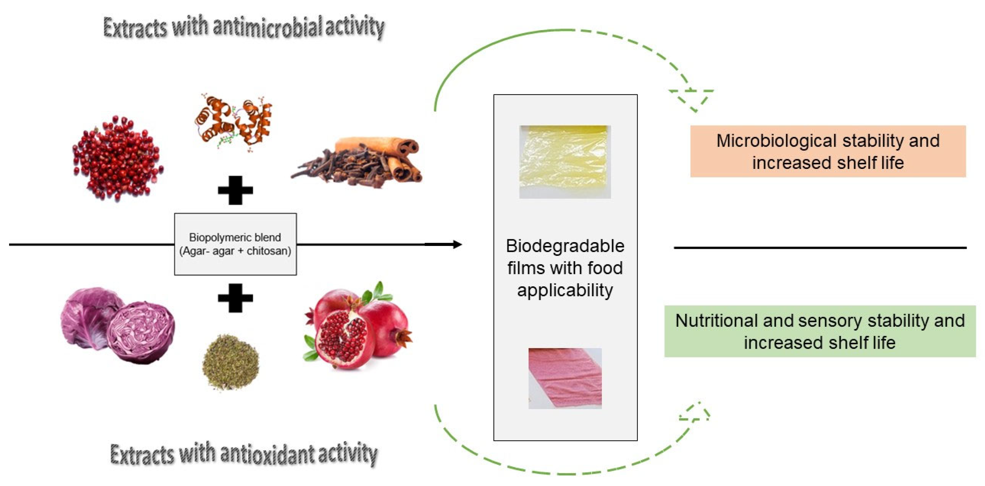 Macromol 03 00017 g003