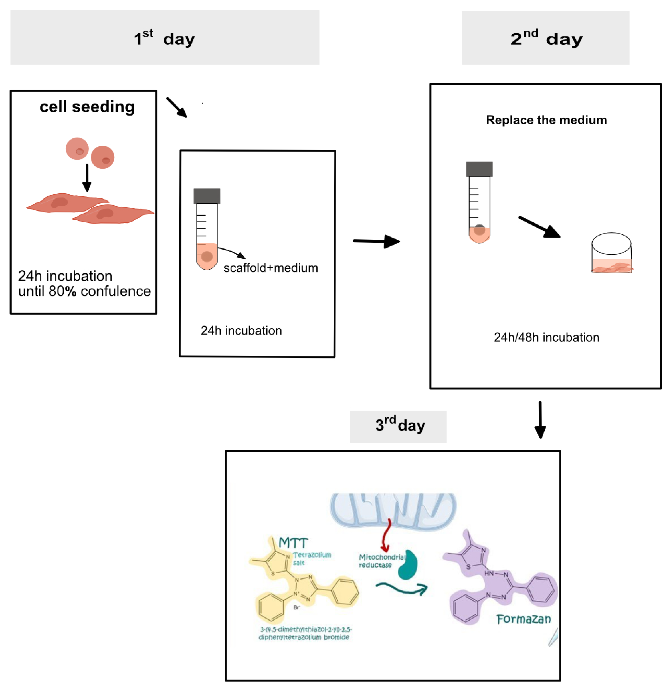Macromol 03 00021 g001