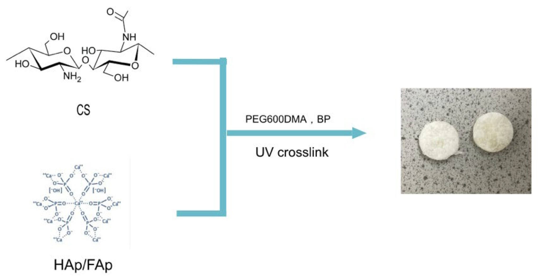 Macromol 03 00021 g002