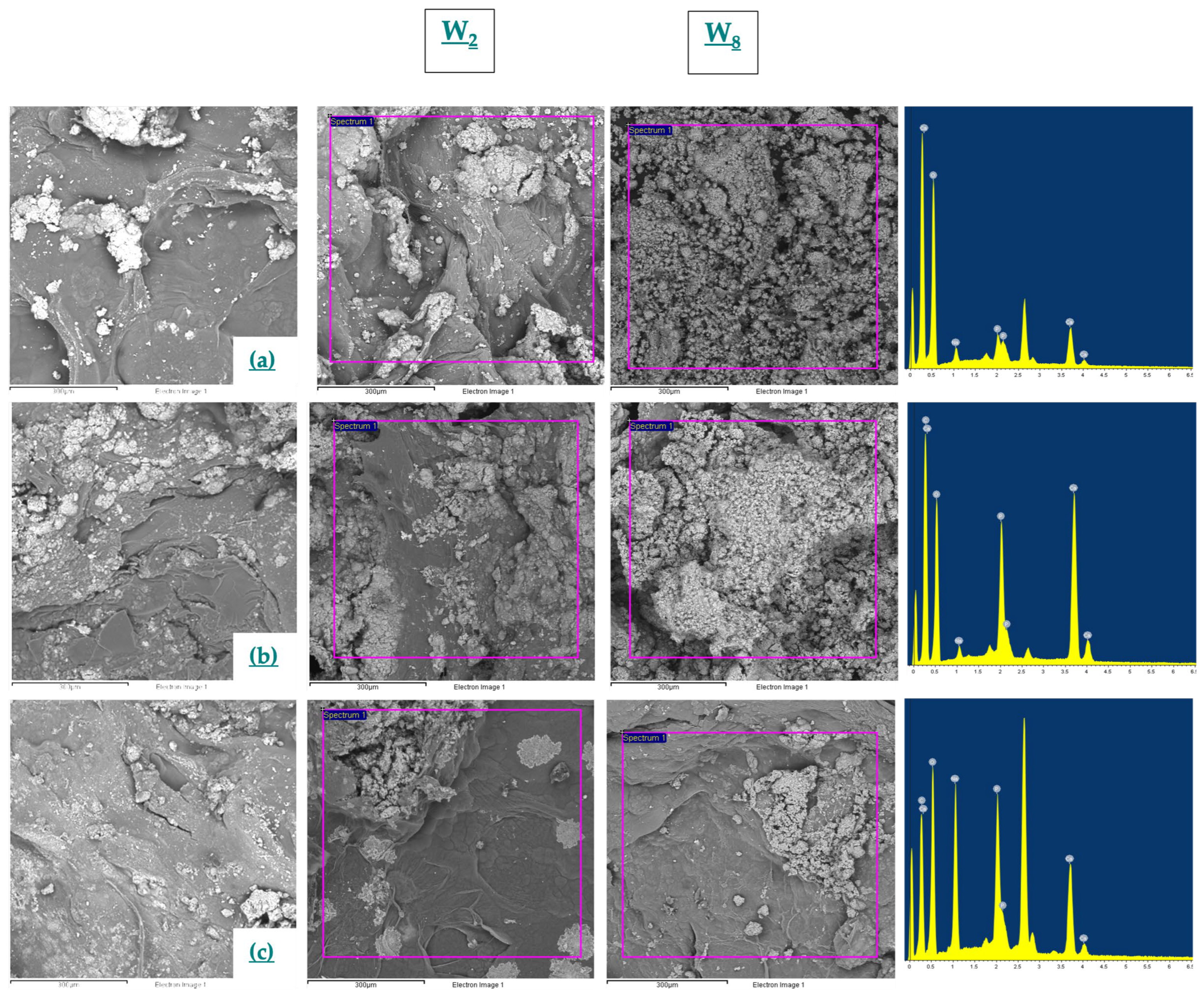 Macromol 03 00021 g003