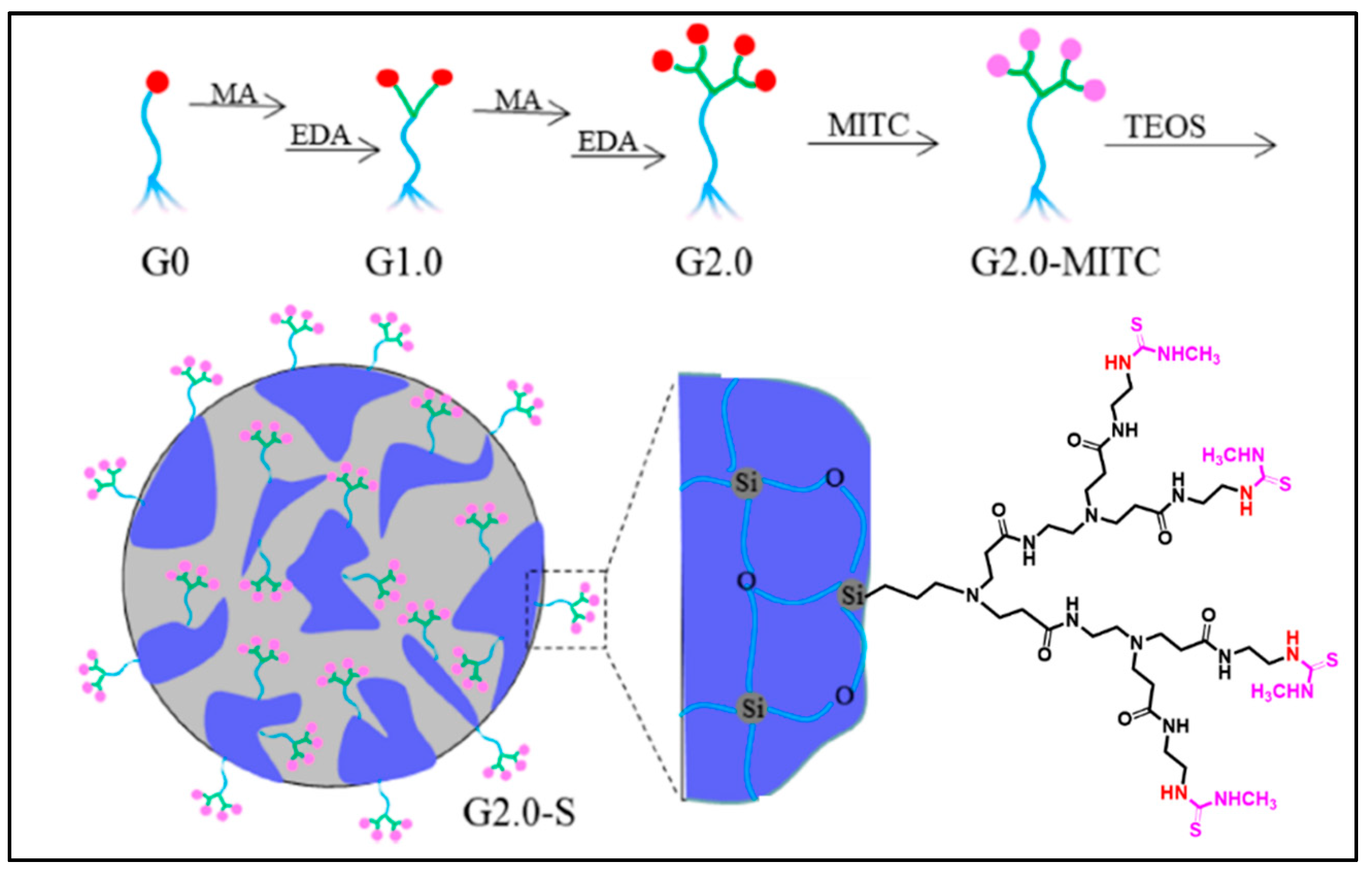 Macromol 03 00022 g004