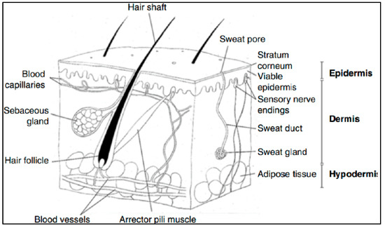 Macromol 03 00022 g012