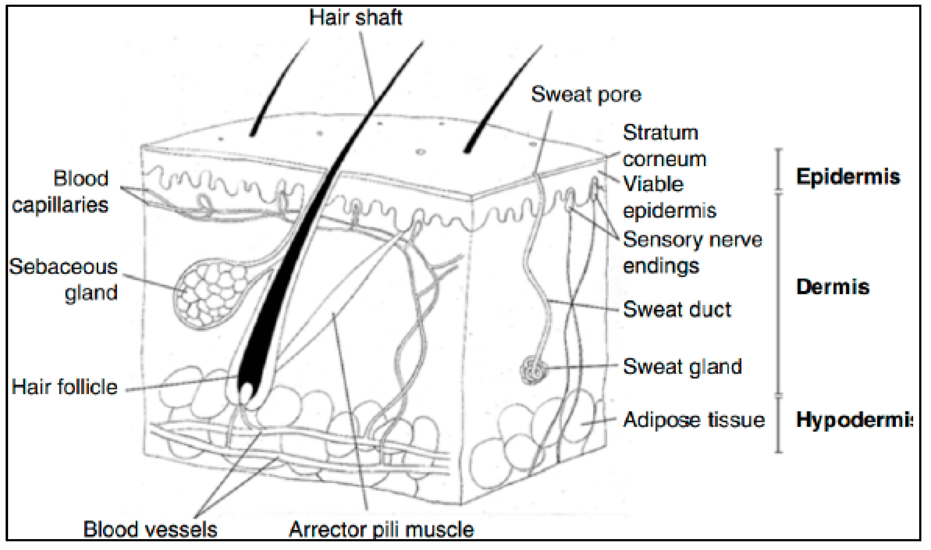Macromol 03 00022 g012