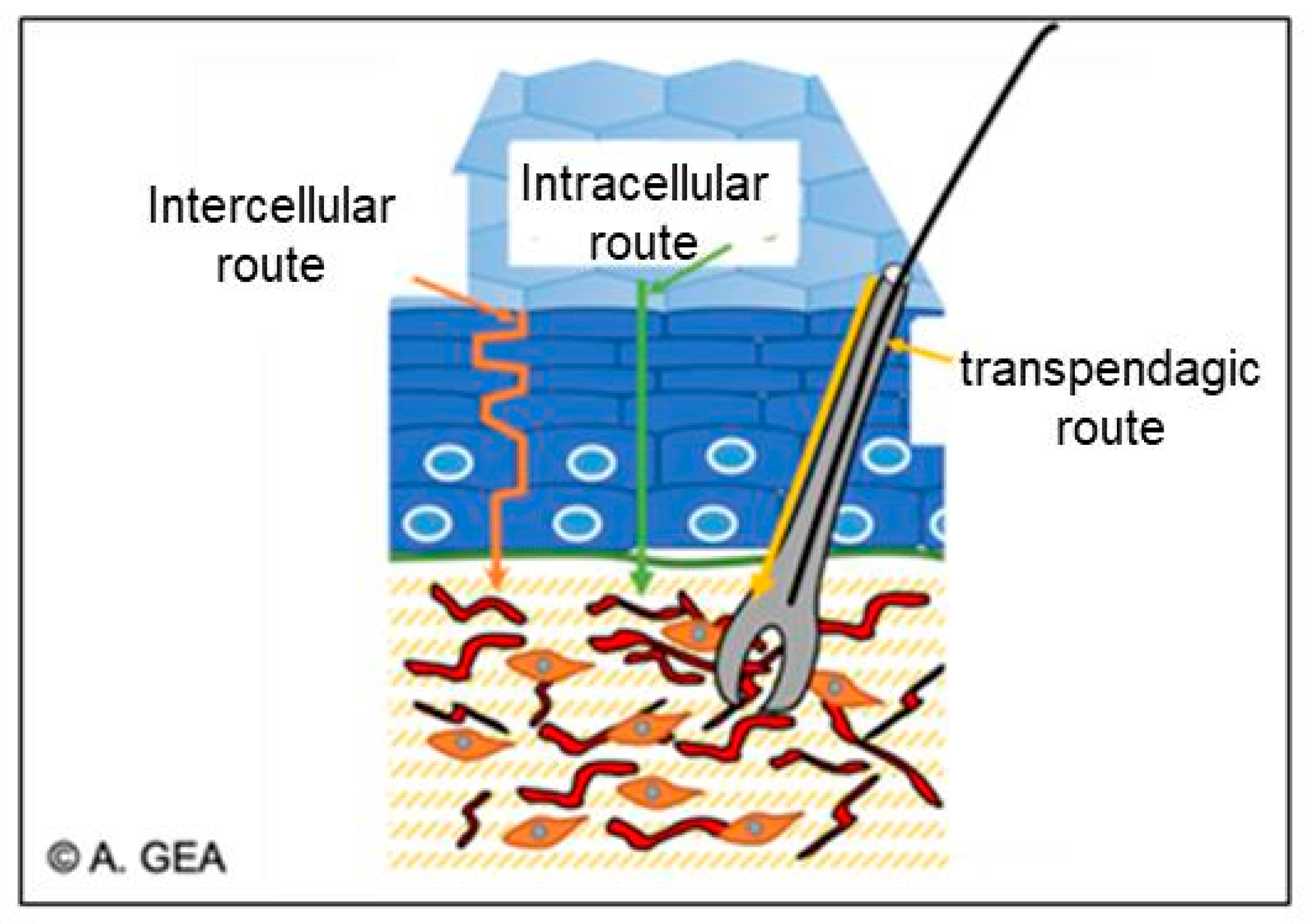 Macromol 03 00022 g016