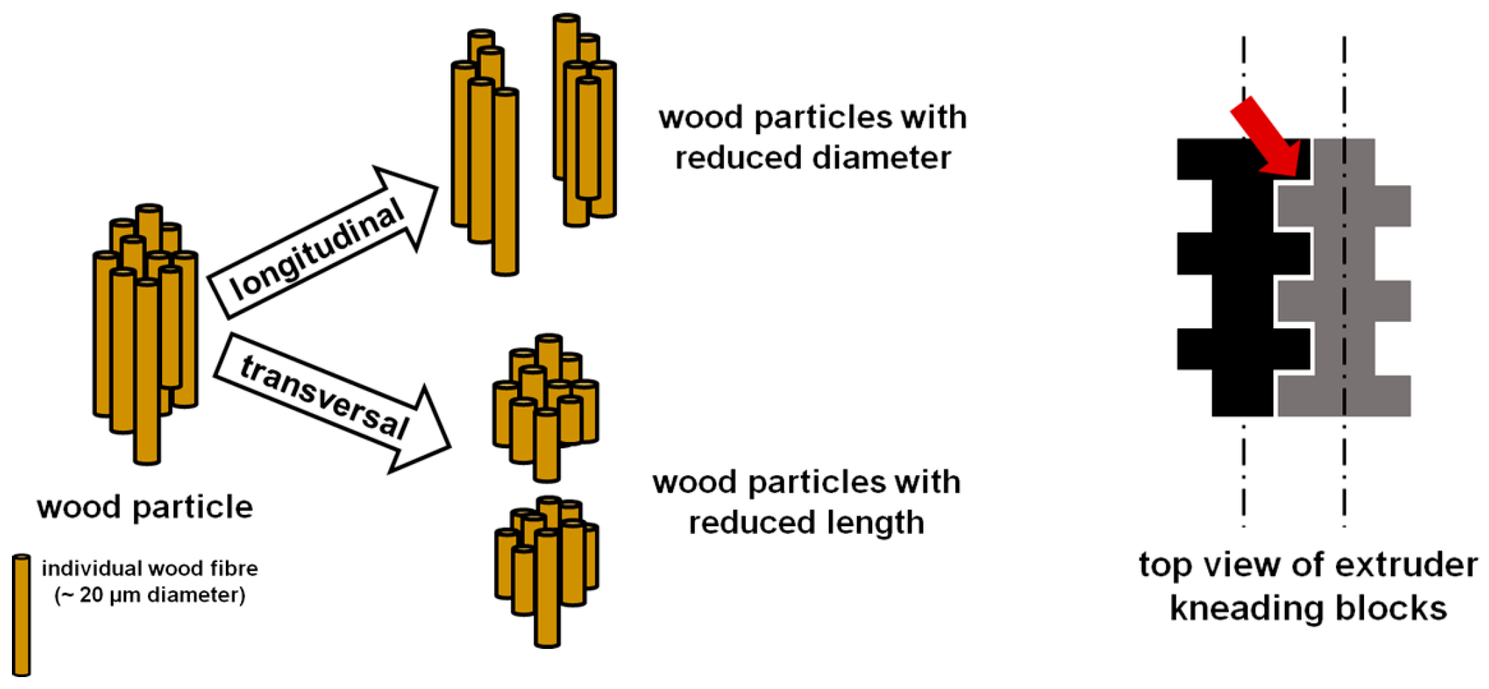 Macromol 03 00043 g004