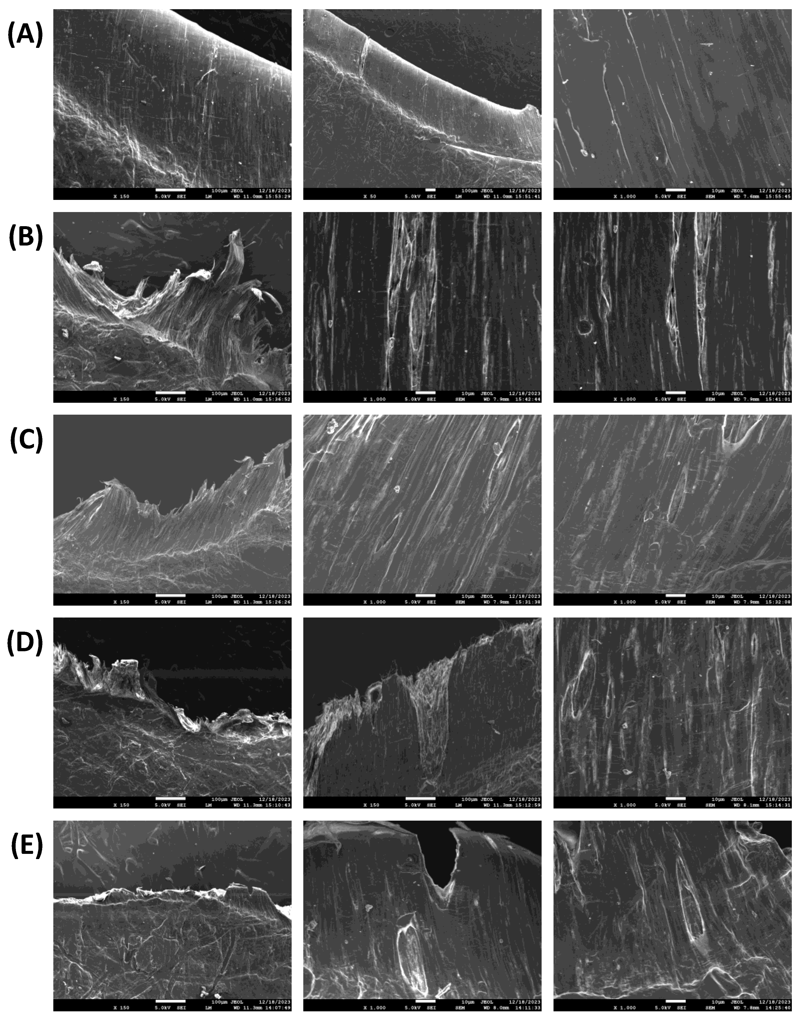 Macromol 04 00003 g006