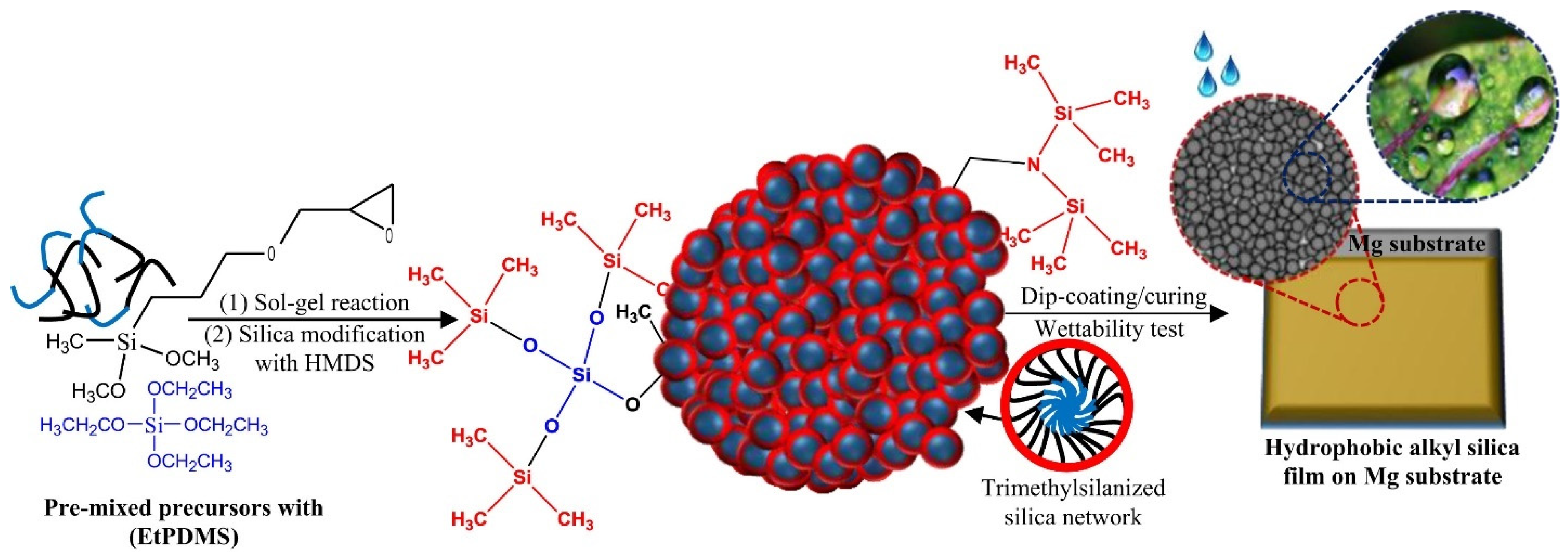 Macromol 04 00010 g001