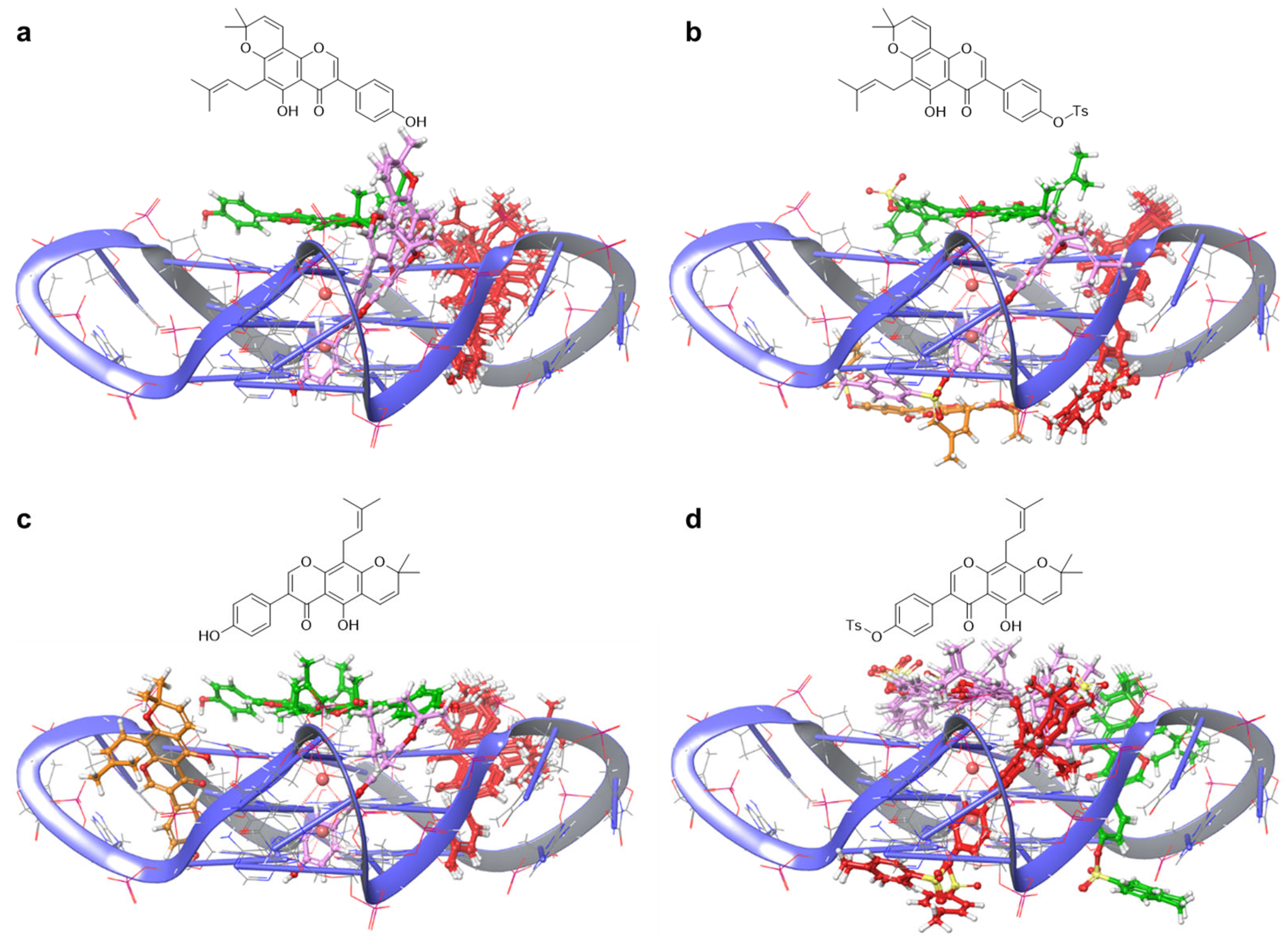 Macromol 04 00033 g002