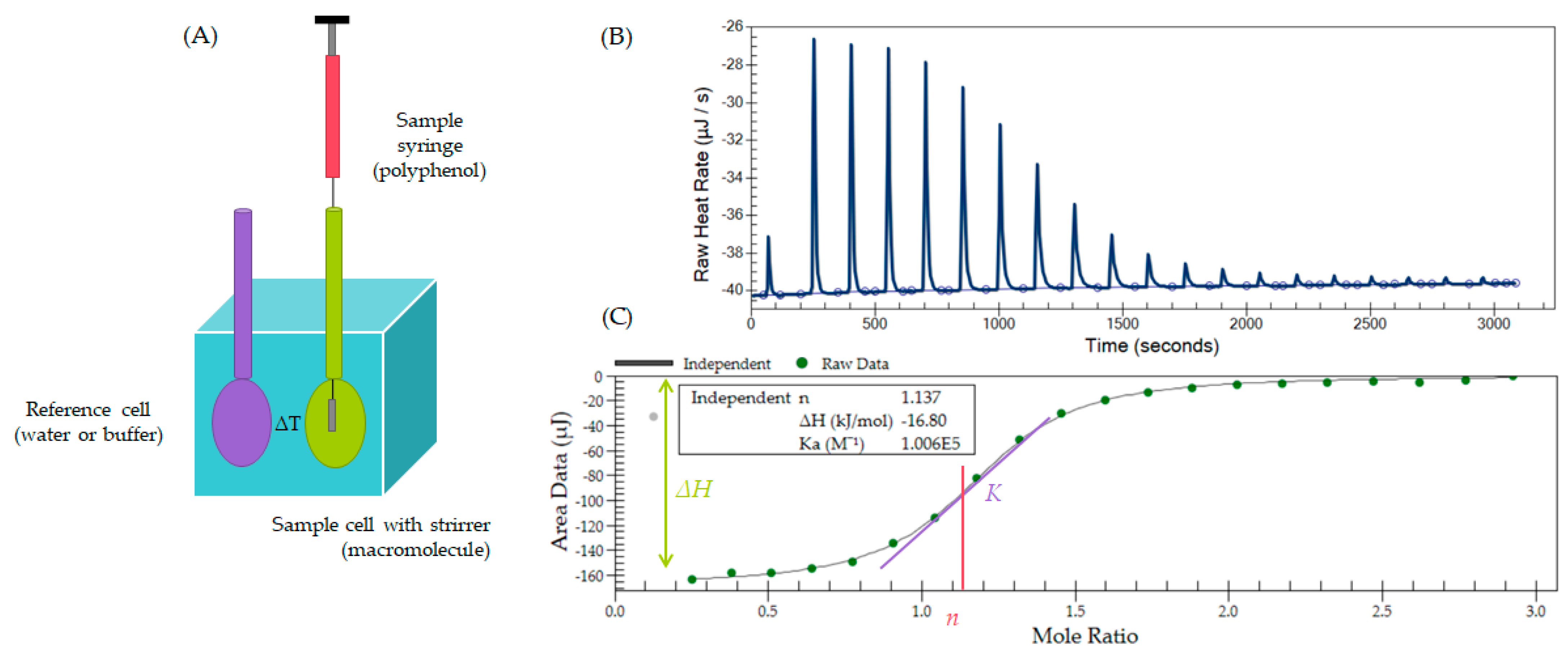 Macromol 05 00002 g002