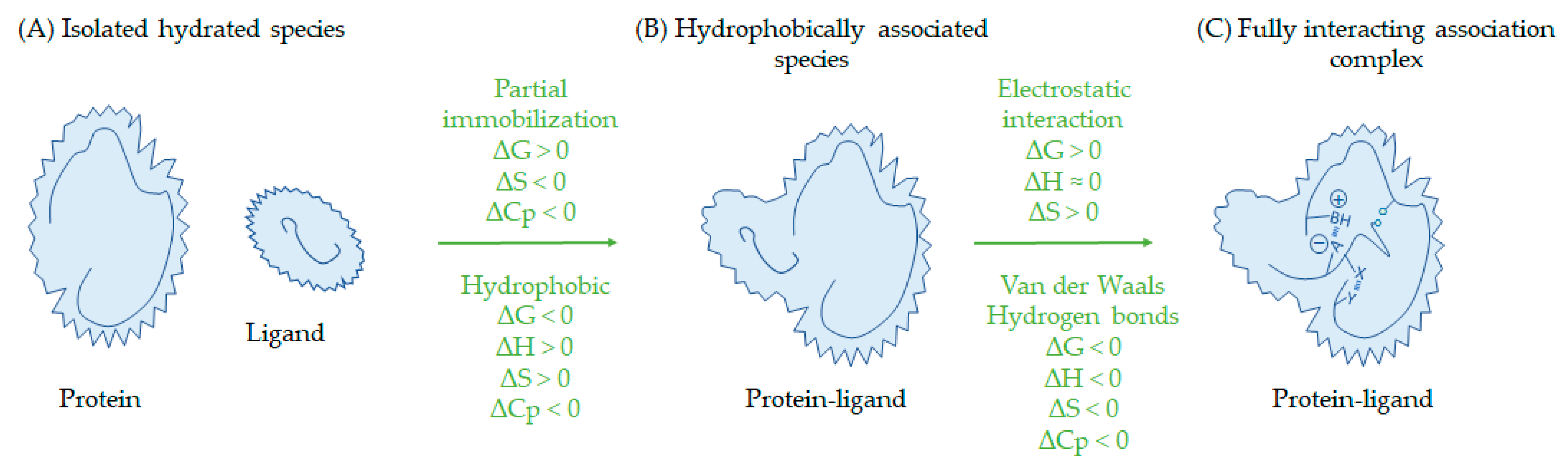 Macromol 05 00002 g004