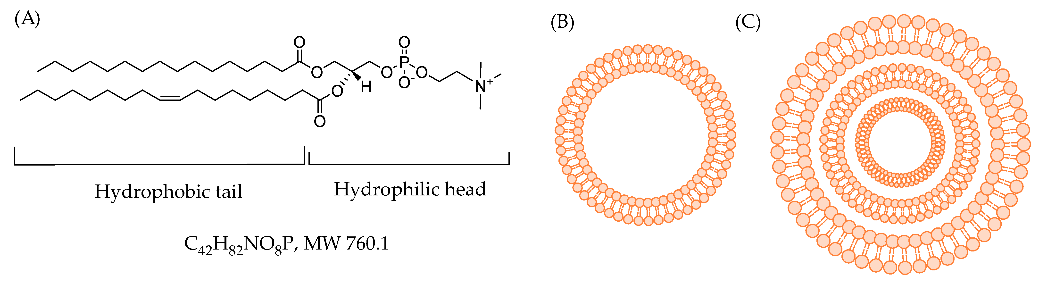 Macromol 05 00002 g006