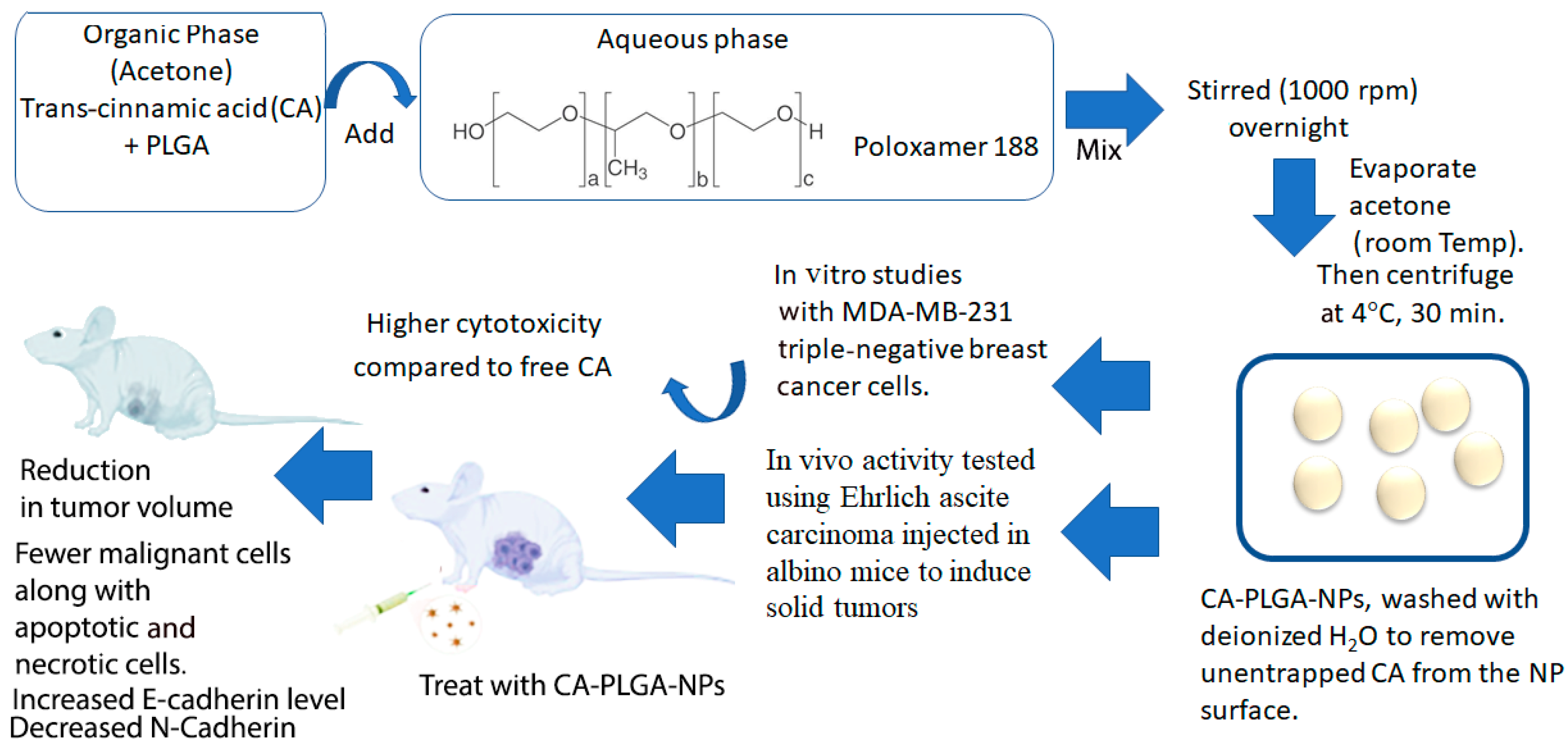 Macromol 05 00013 g004