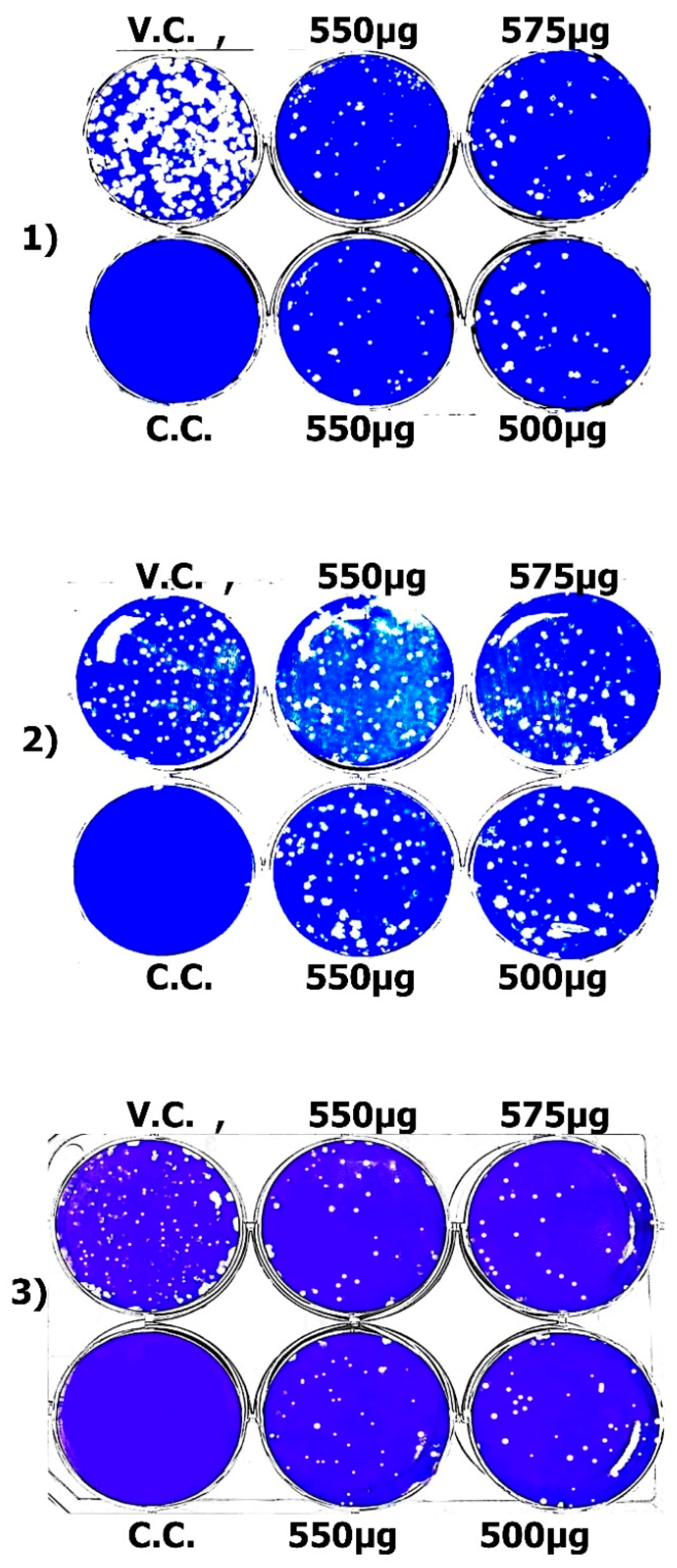 Macromol 05 00018 g007 Macromol 05 00018 g007