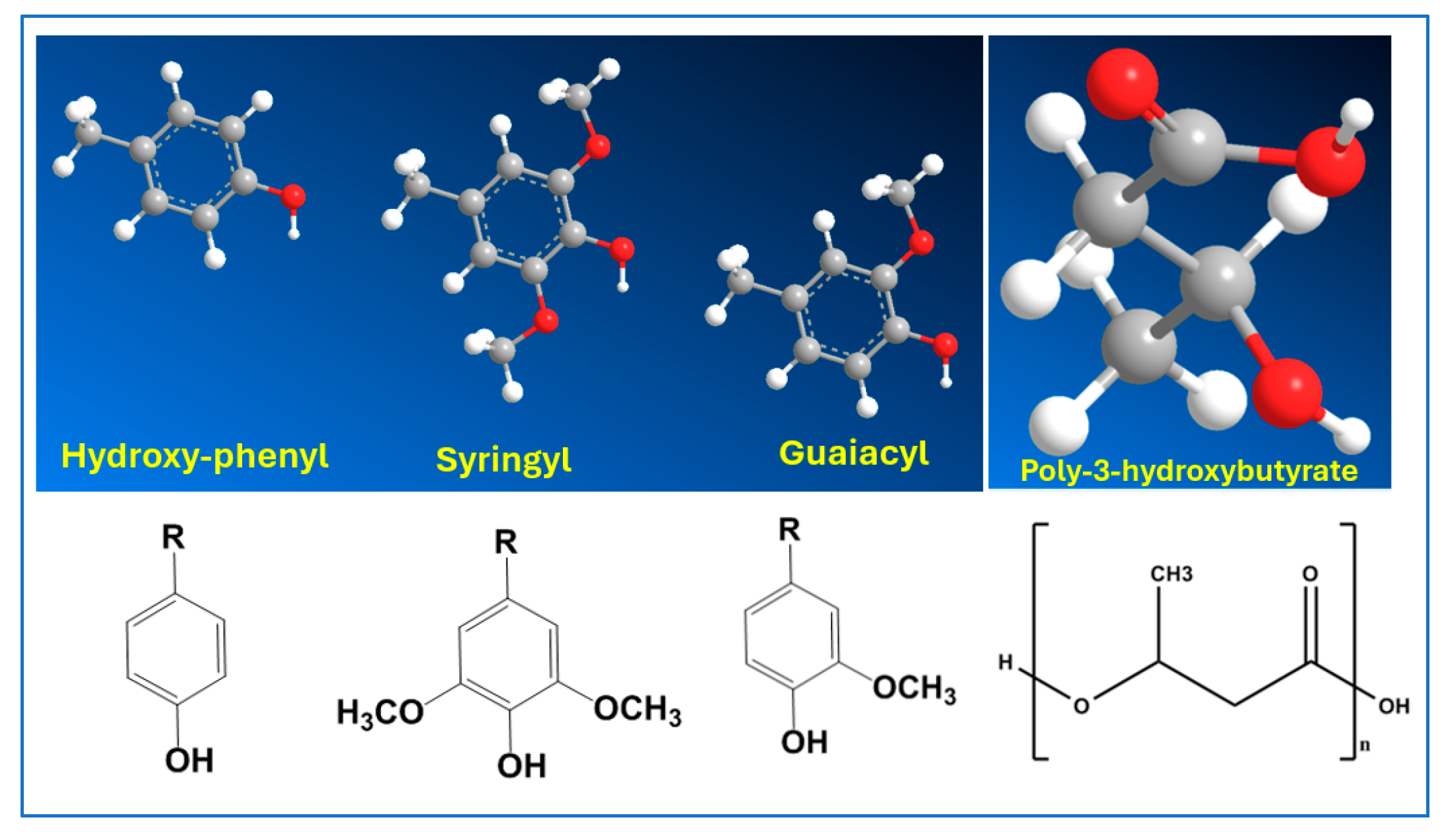 Macromol 05 00021 g001