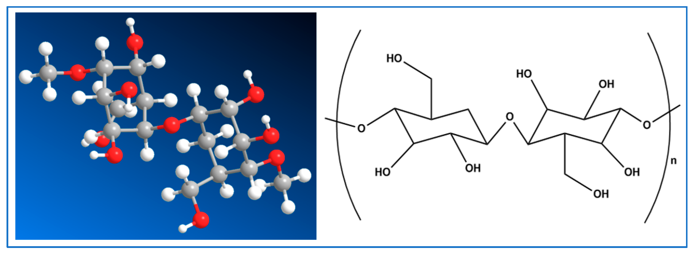 Macromol 05 00021 g002