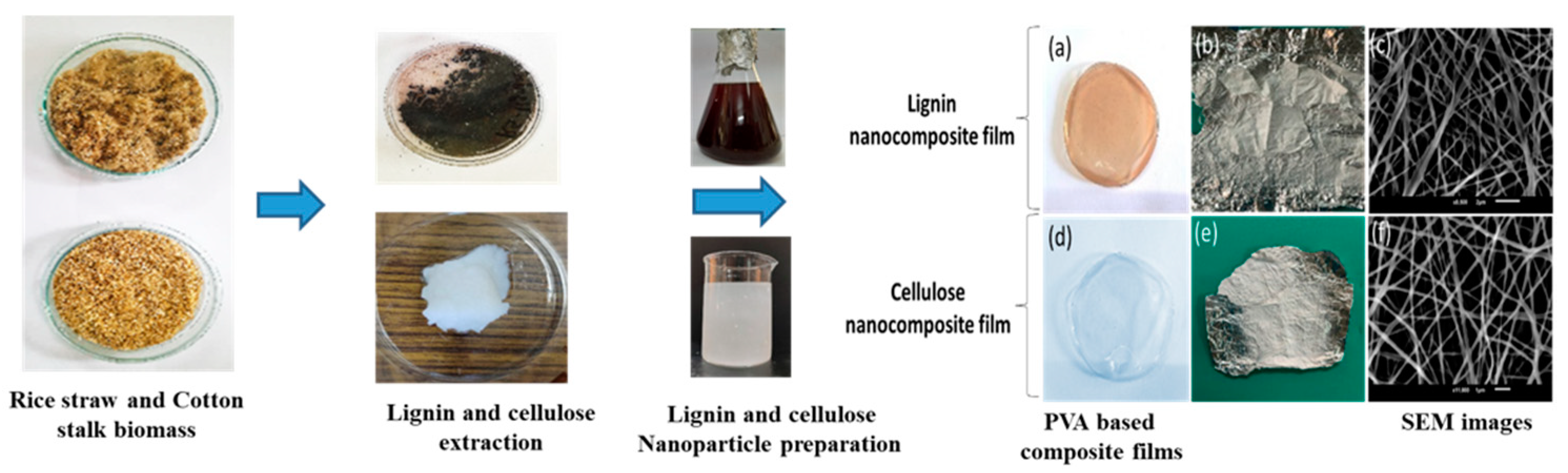 Macromol 05 00021 g004