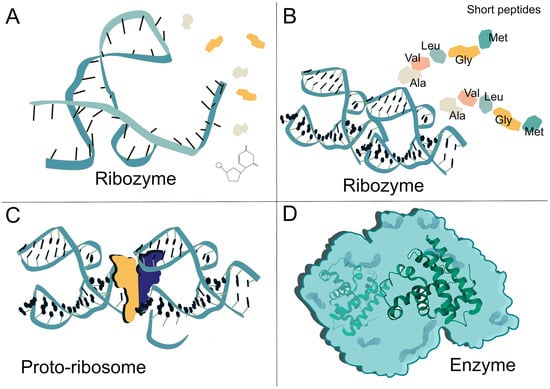 Macromol 05 00023 g002