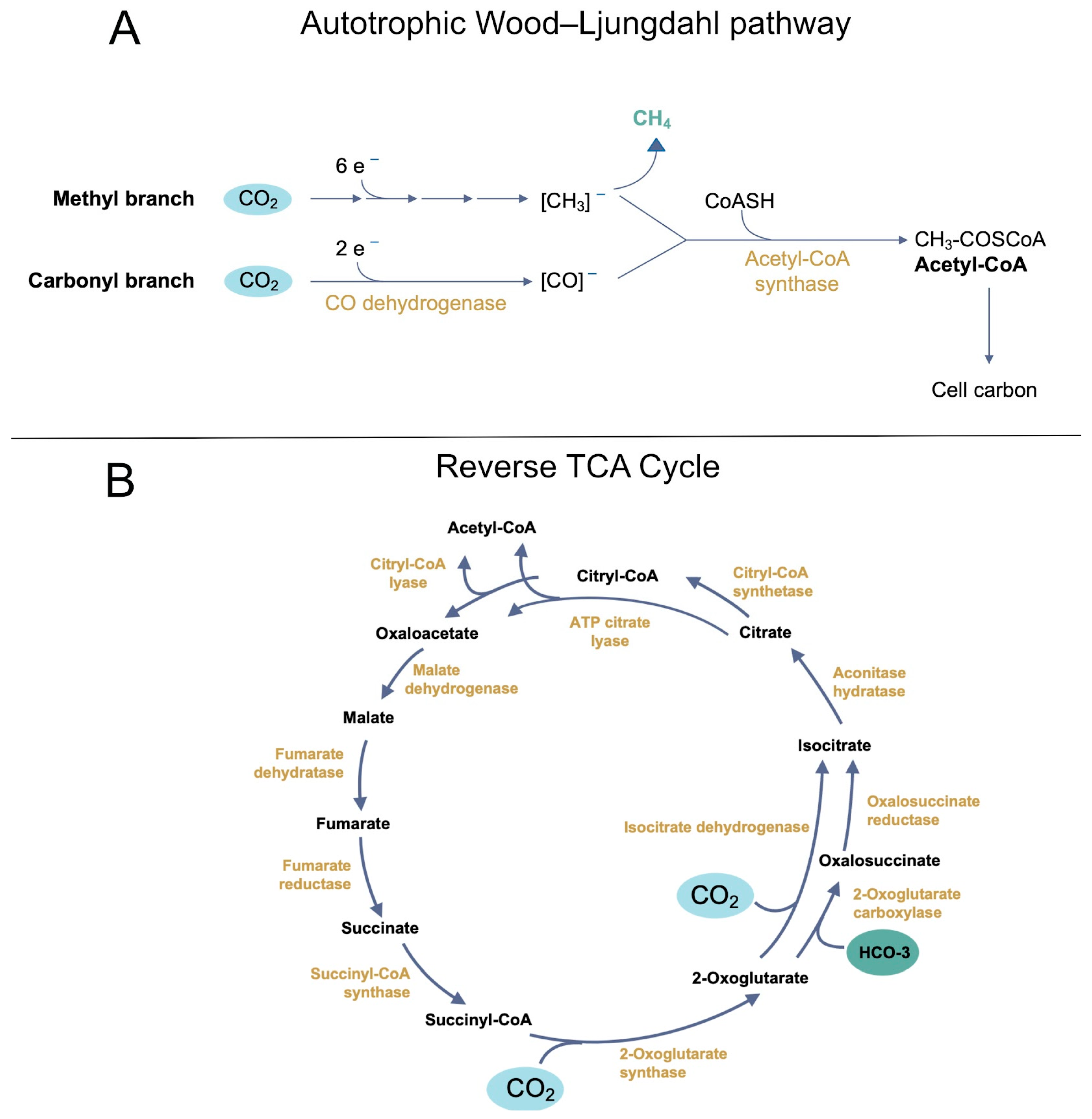 Macromol 05 00023 g004