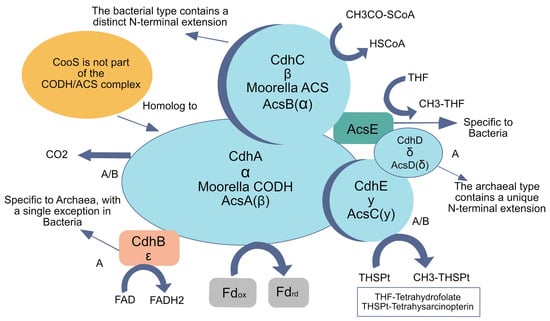 Macromol 05 00023 g005