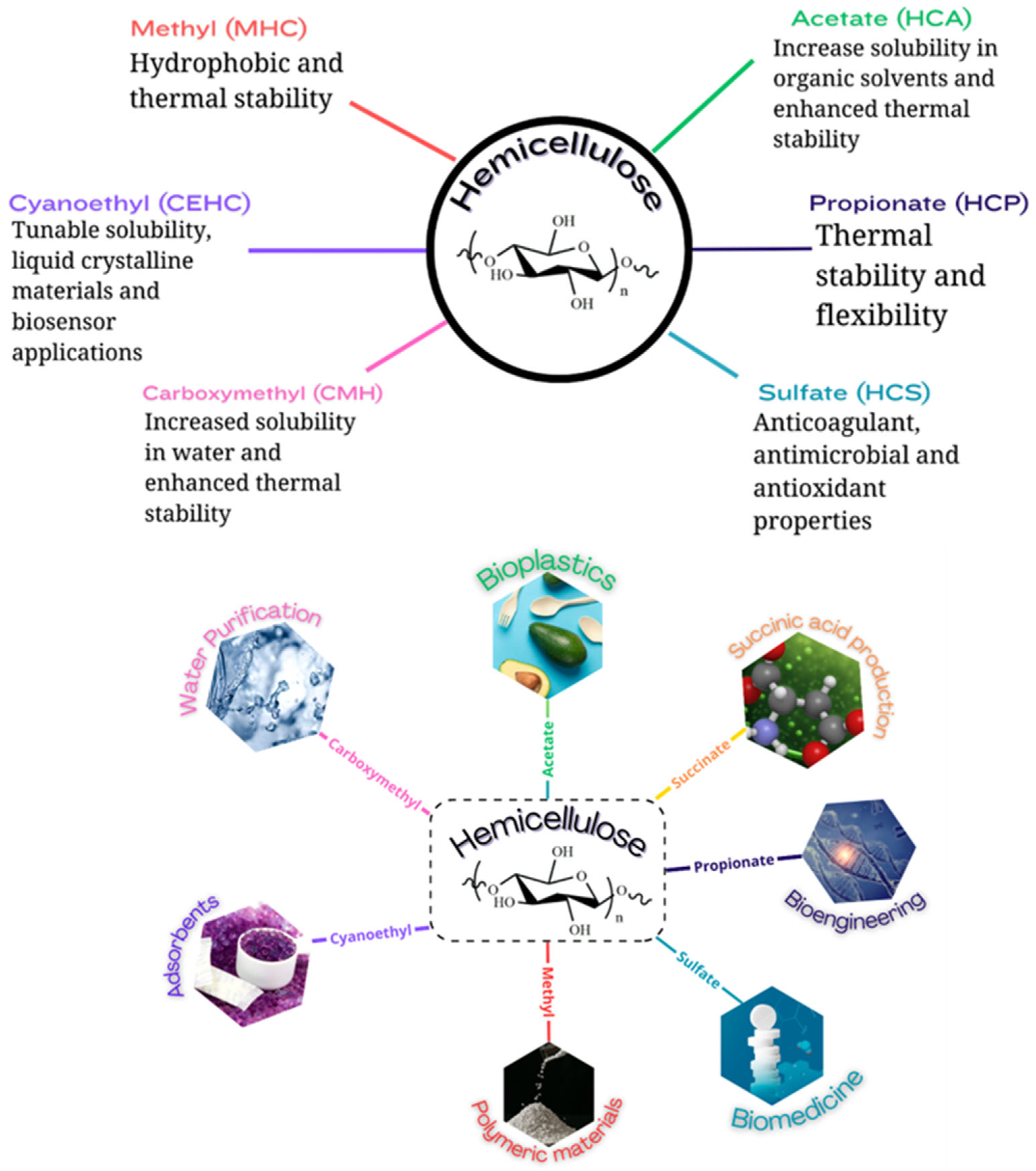 Macromol 05 00047 g003