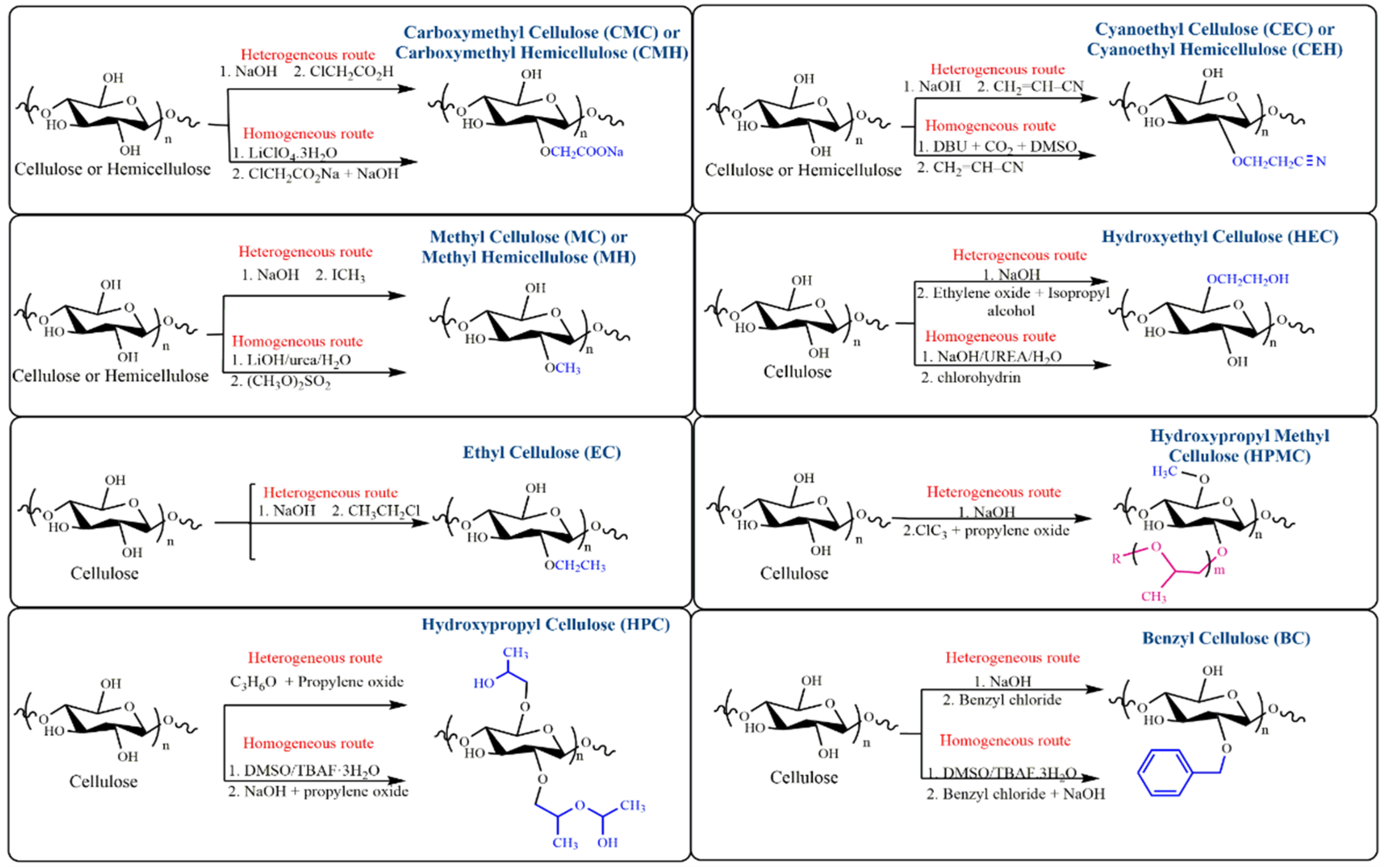 Macromol 05 00047 g005
