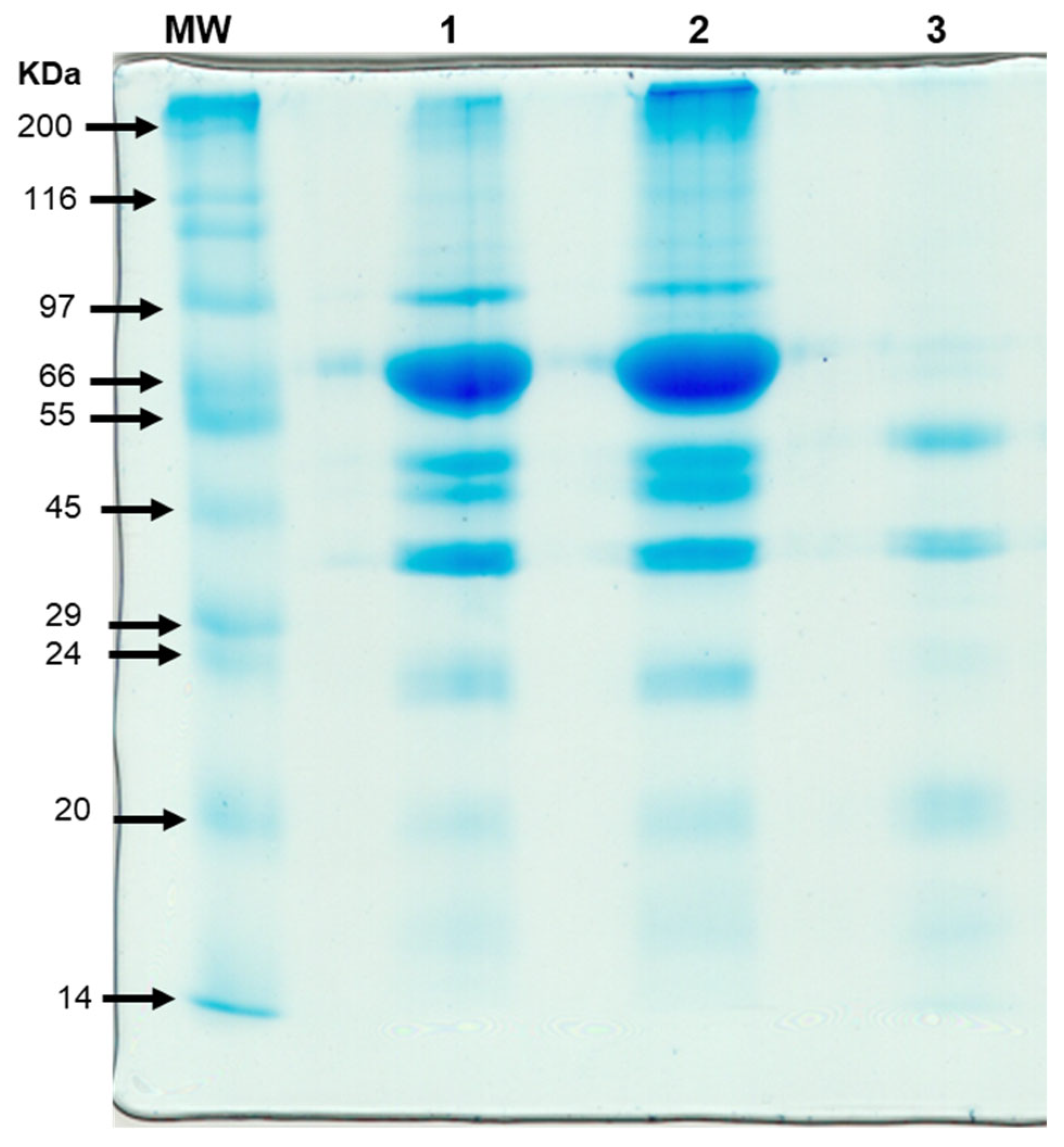 Macromol 06 00011 g002 Macromol 06 00011 g002