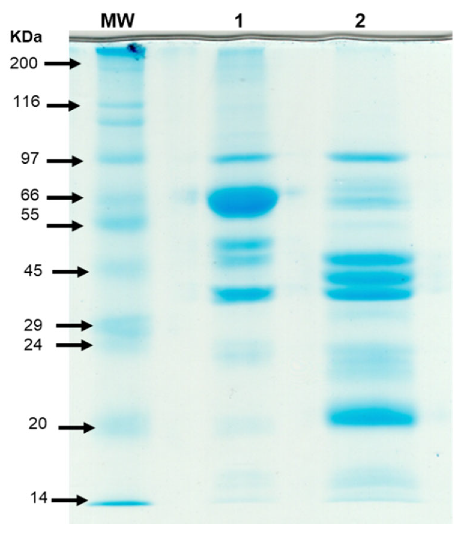 Macromol 06 00011 g005 Macromol 06 00011 g005