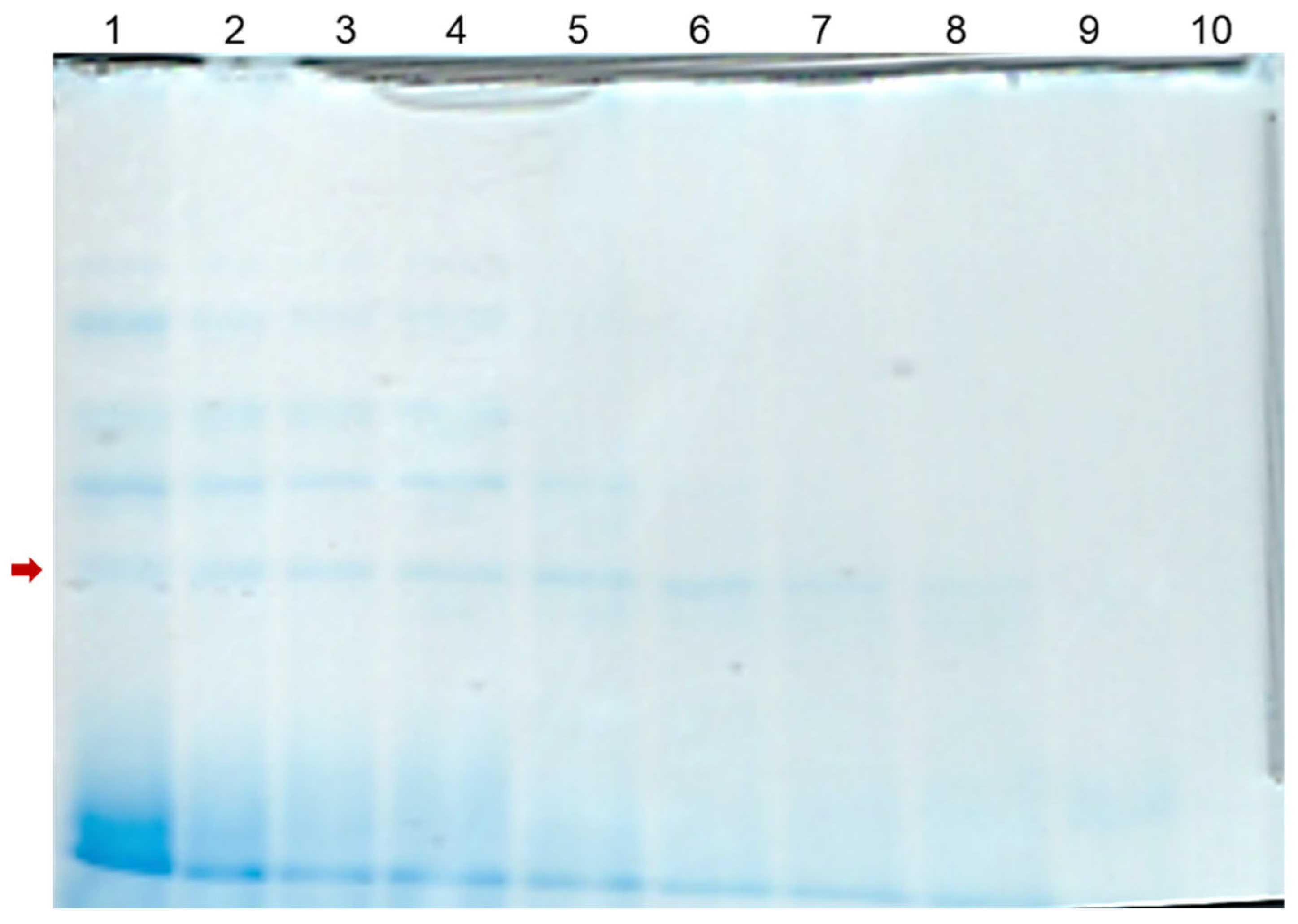 Macromol 06 00011 g007 Macromol 06 00011 g007