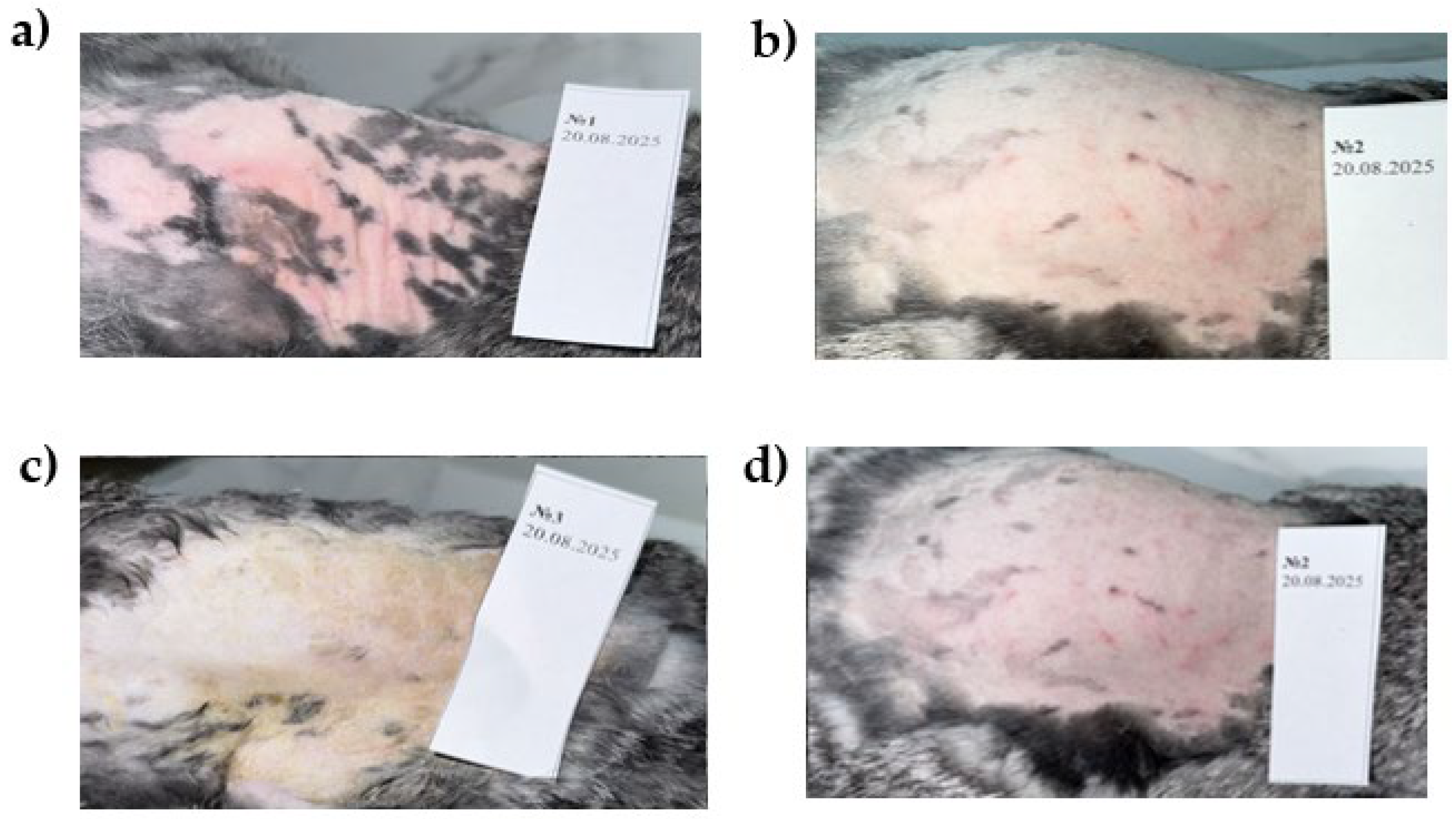 Macromol 06 00045 g008 Macromol 06 00045 g008