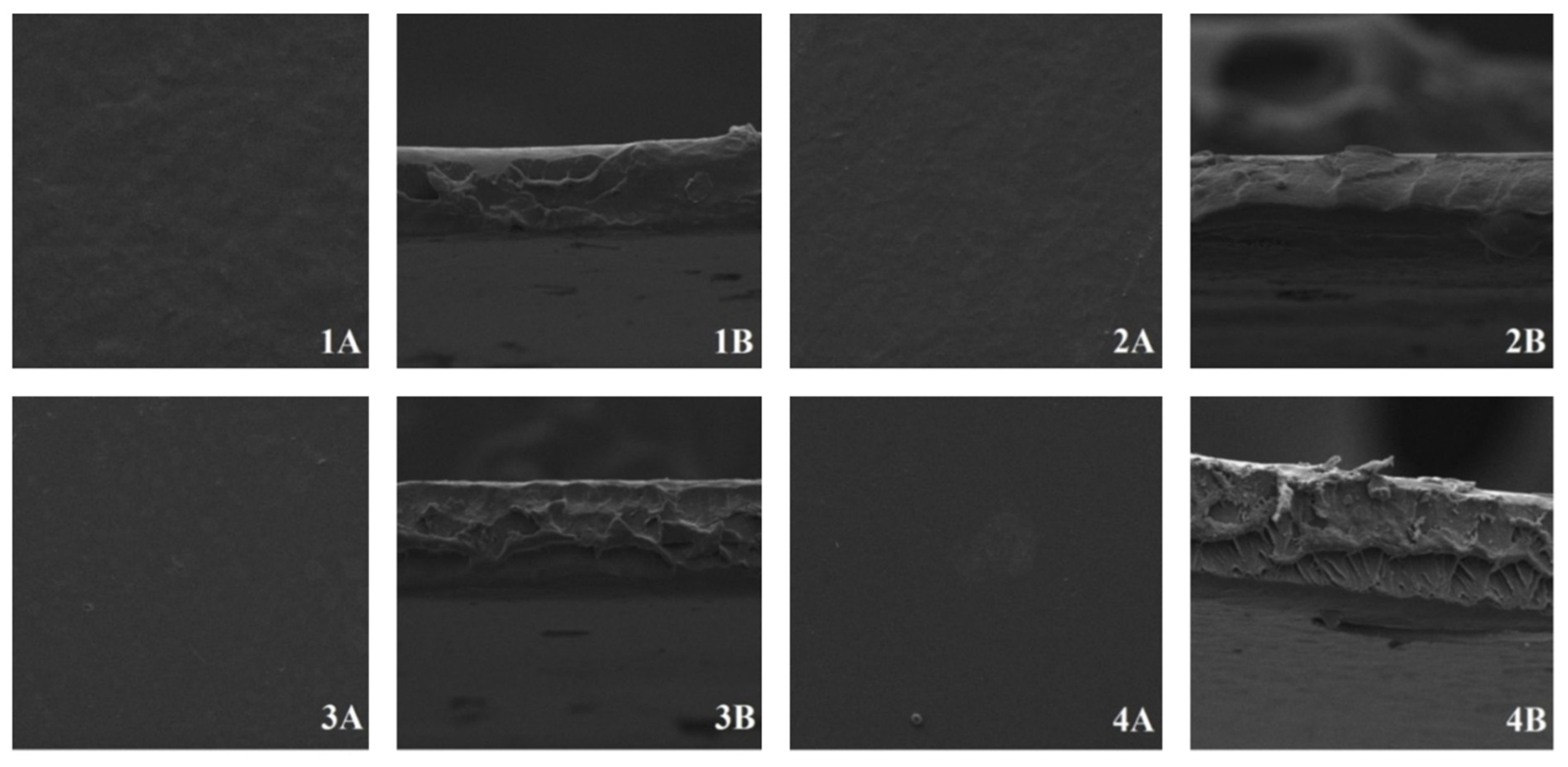 Macromol 06 00086 g001 Macromol 06 00086 g001