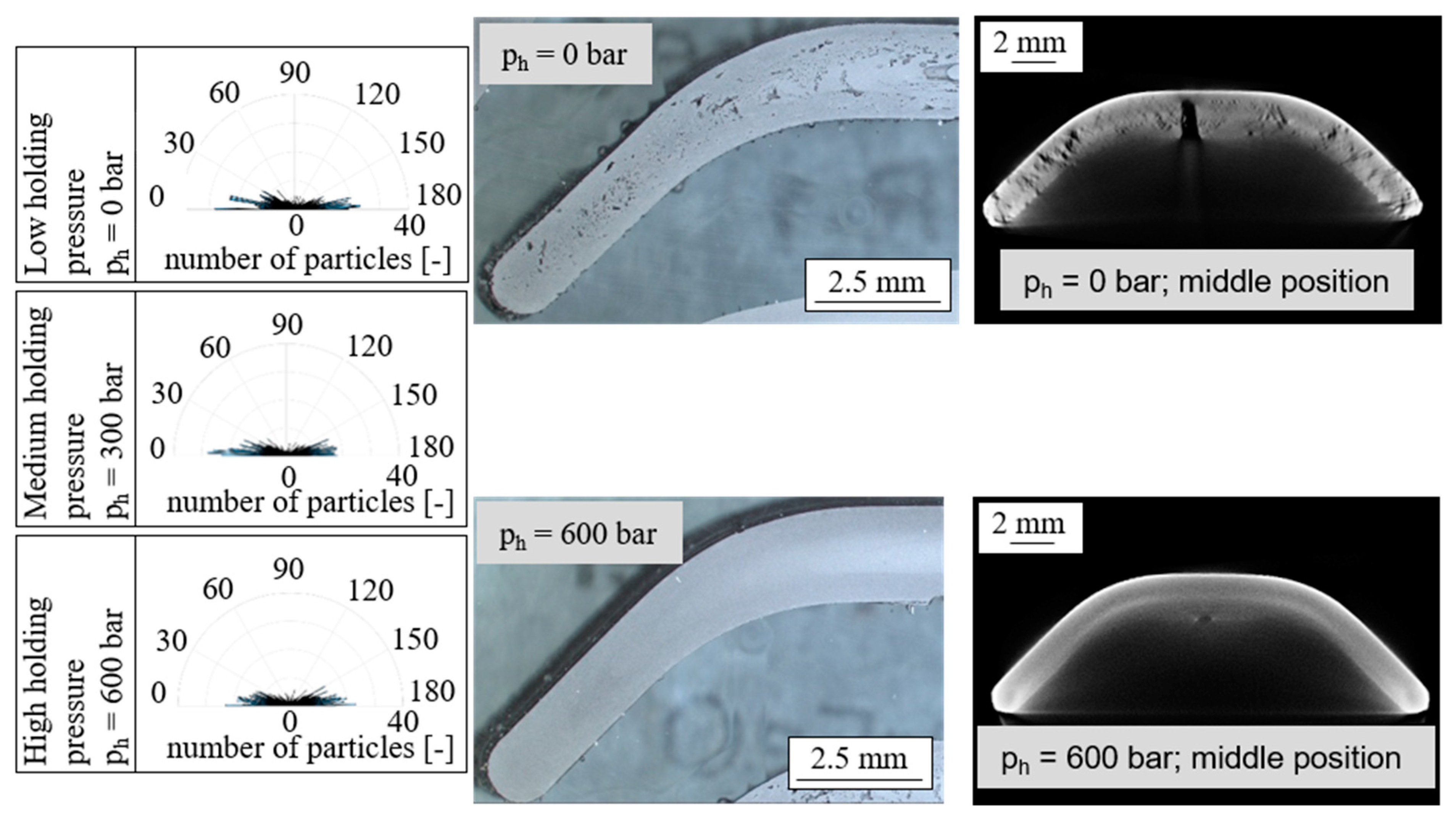 Magnetism 01 00002 g015