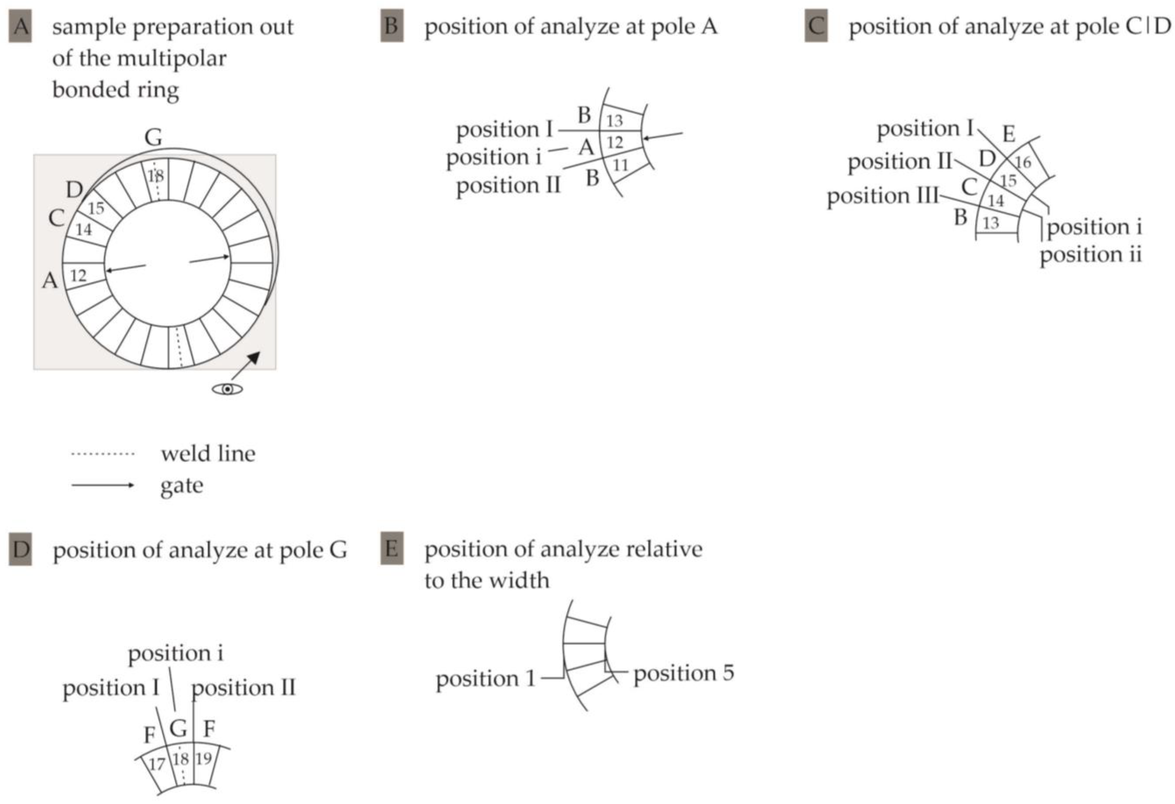 Magnetism 03 00007 g005