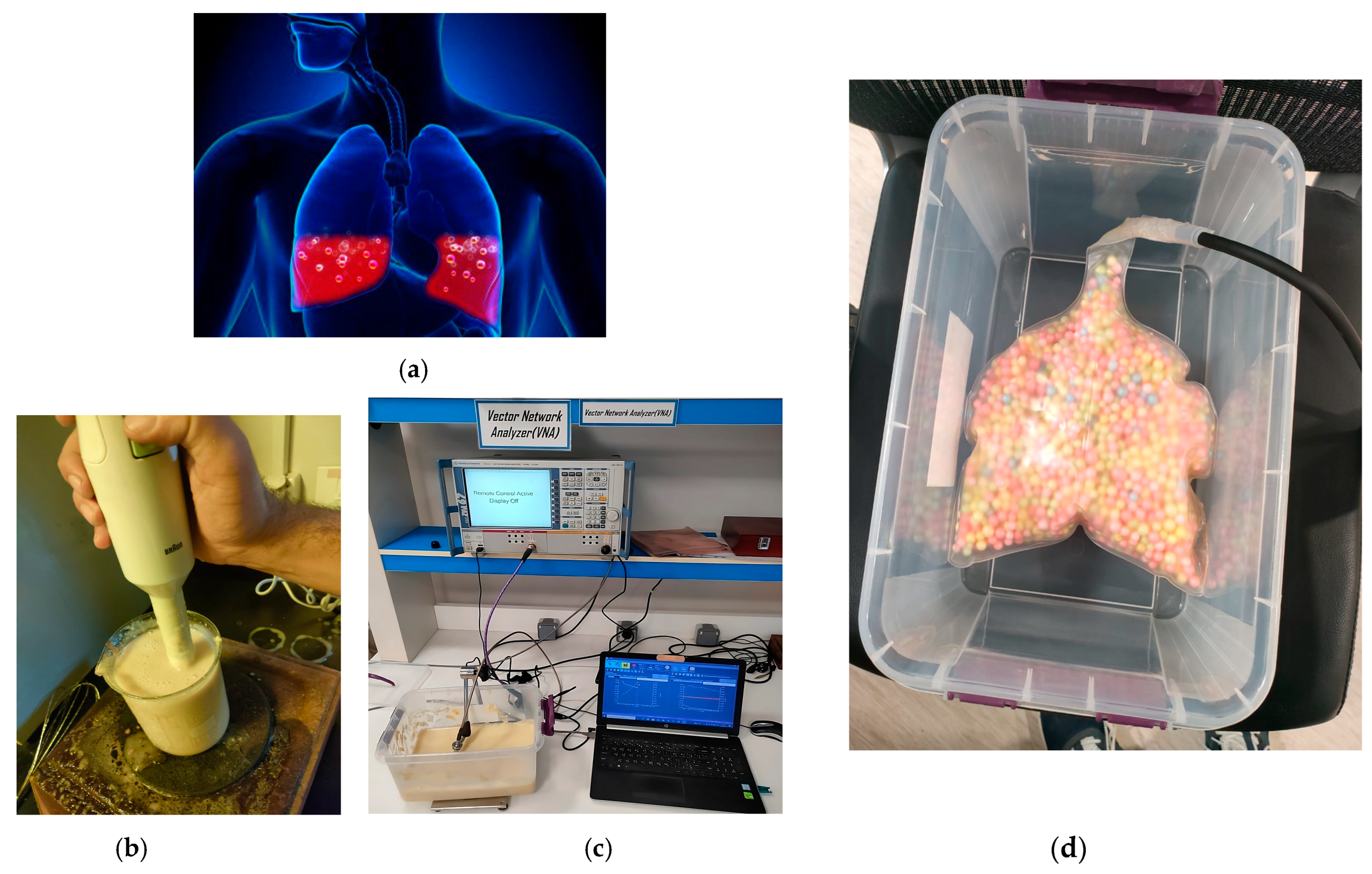 Magnetism 04 00015 g021