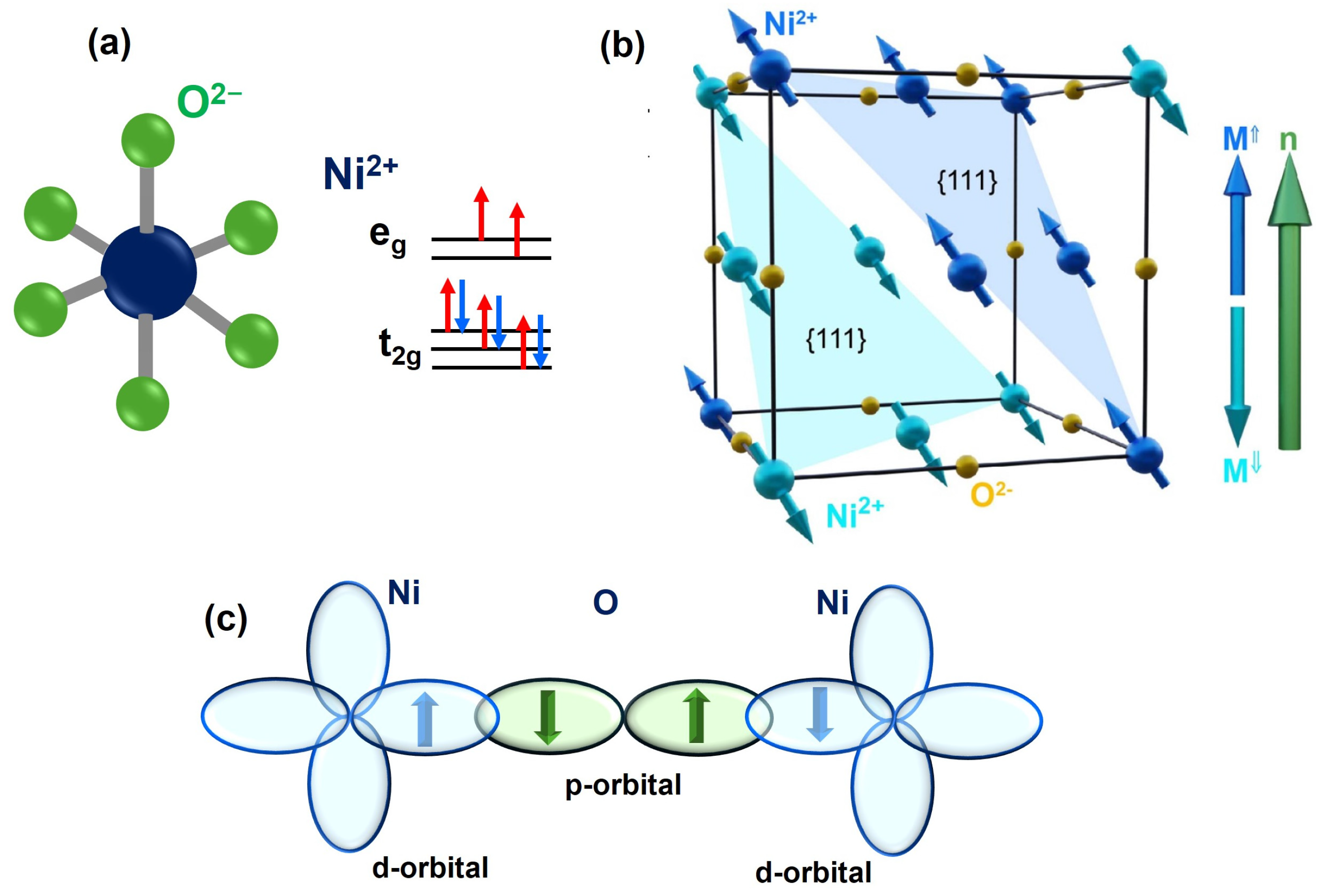 Magnetism 04 00017 g002