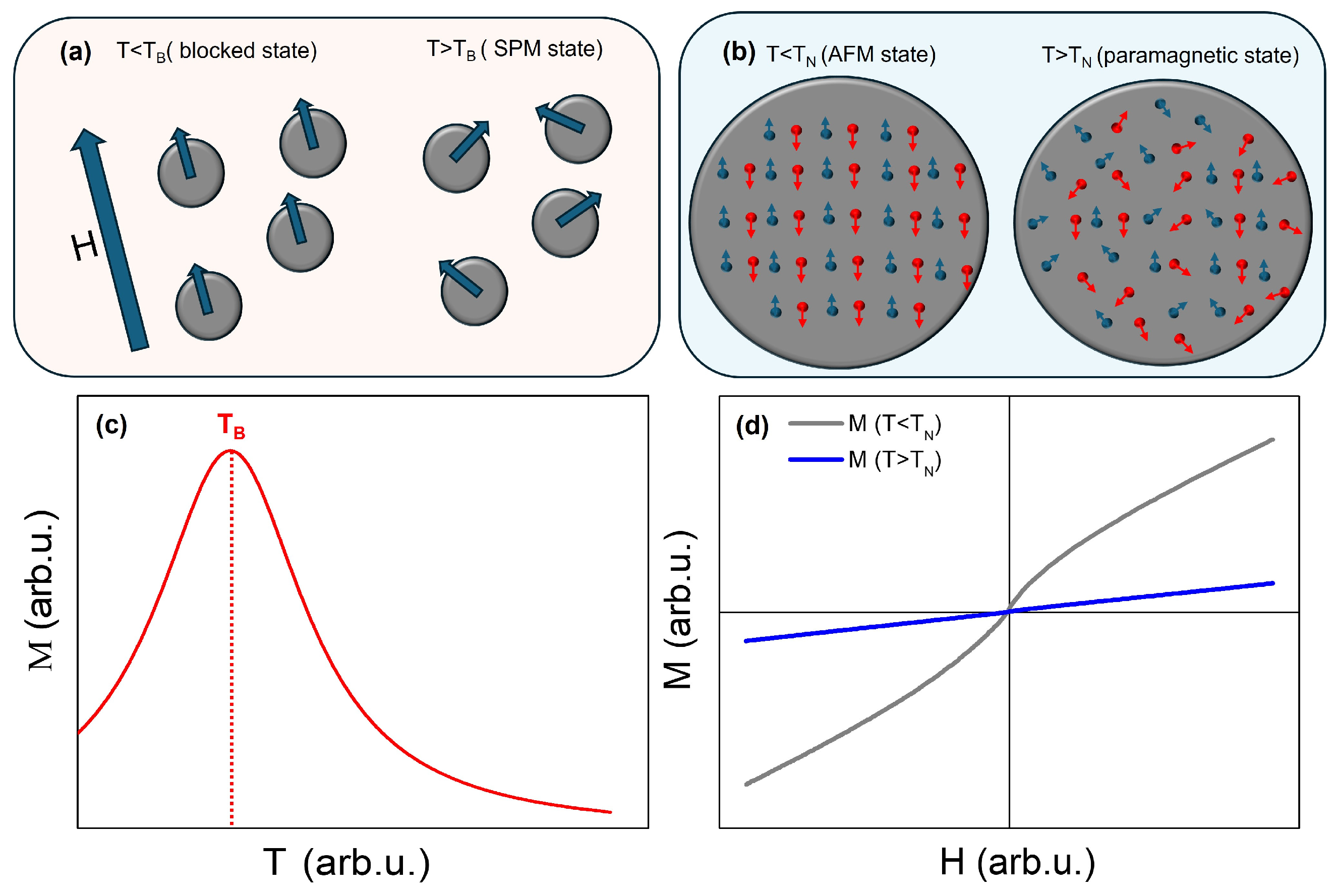Magnetism 04 00017 g003