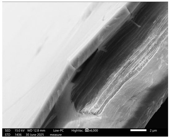 SEM image of a 1.40 µm thick film.