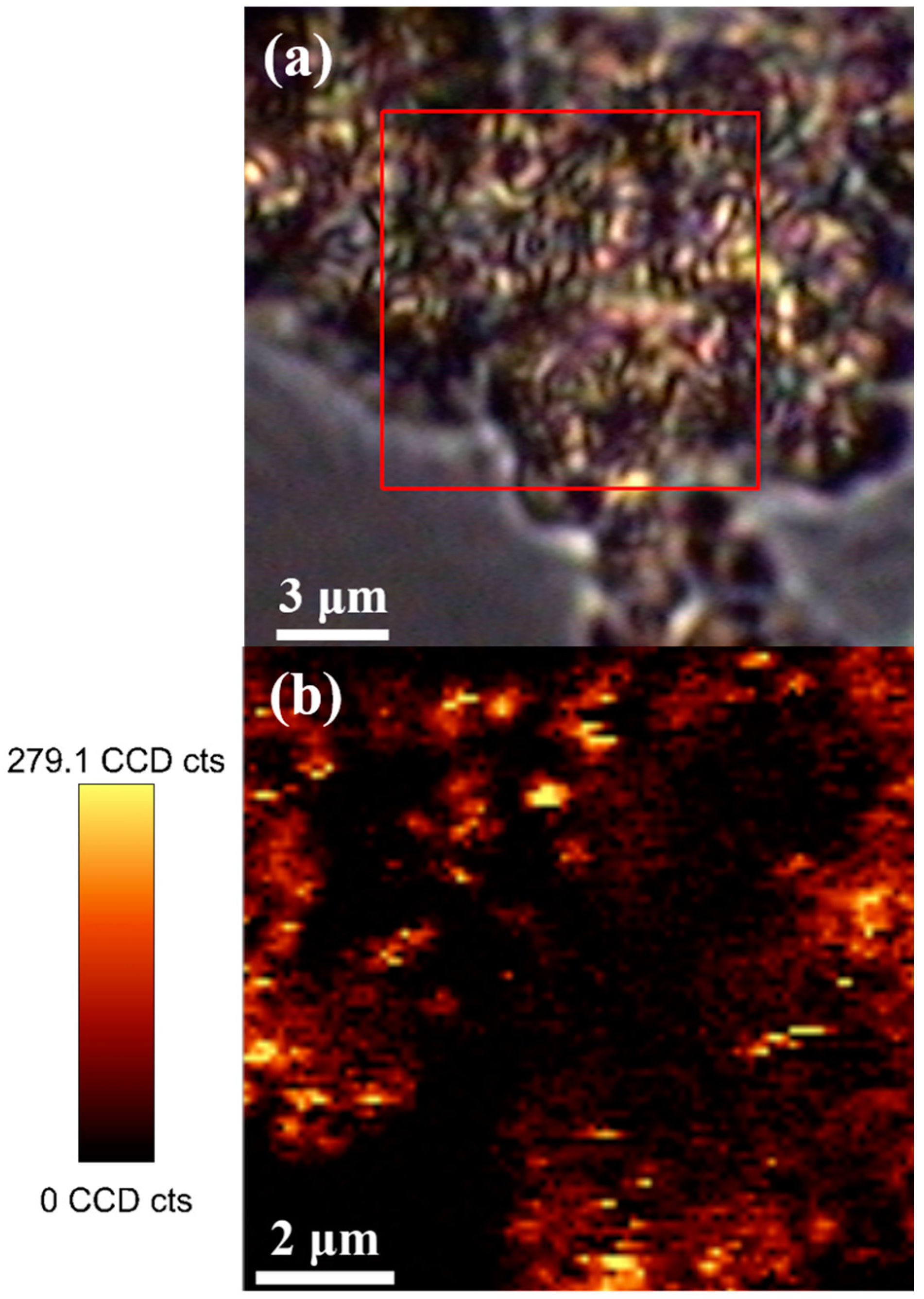 Magnetochemistry 03 00032 g007