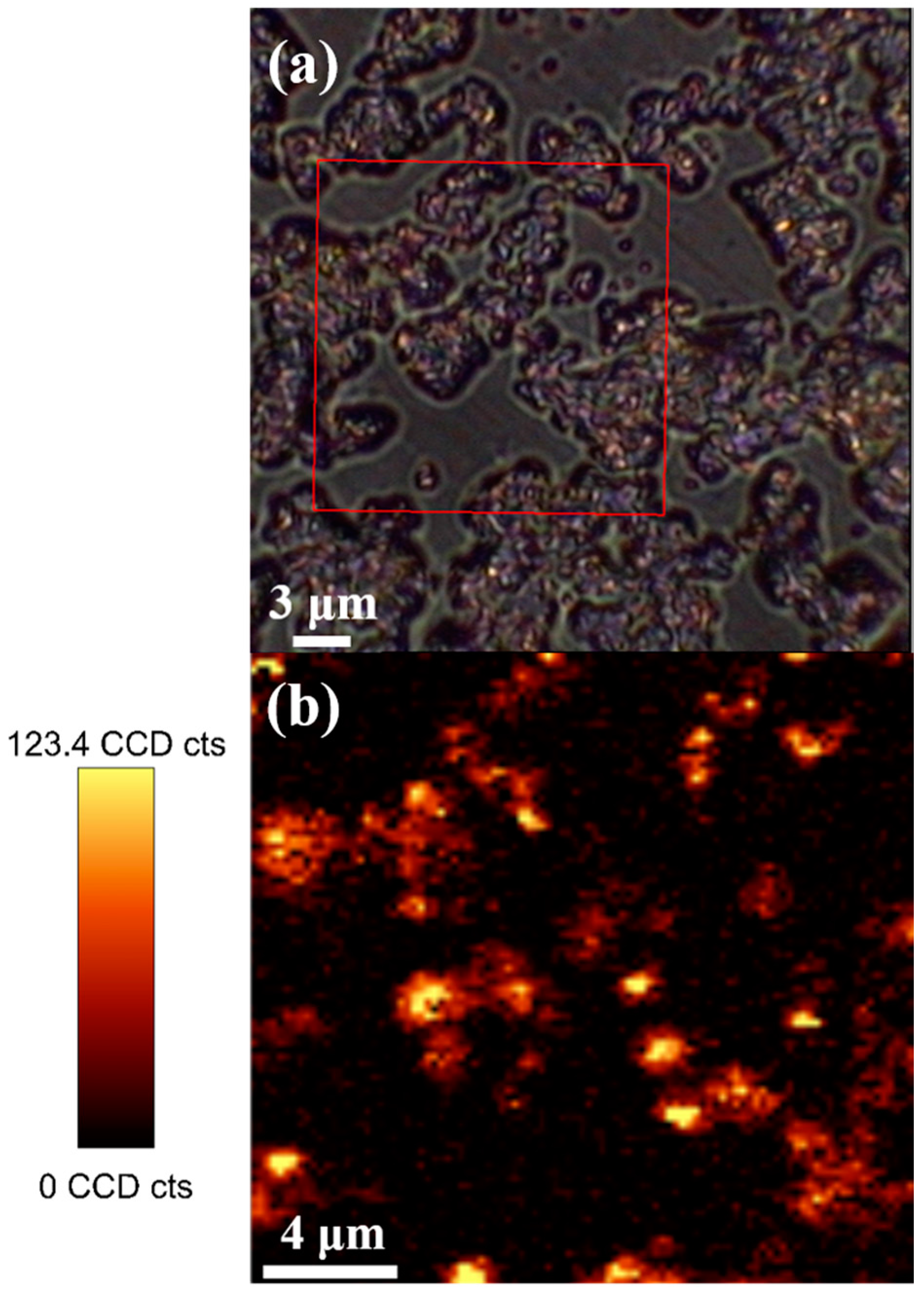 Magnetochemistry 03 00032 g008