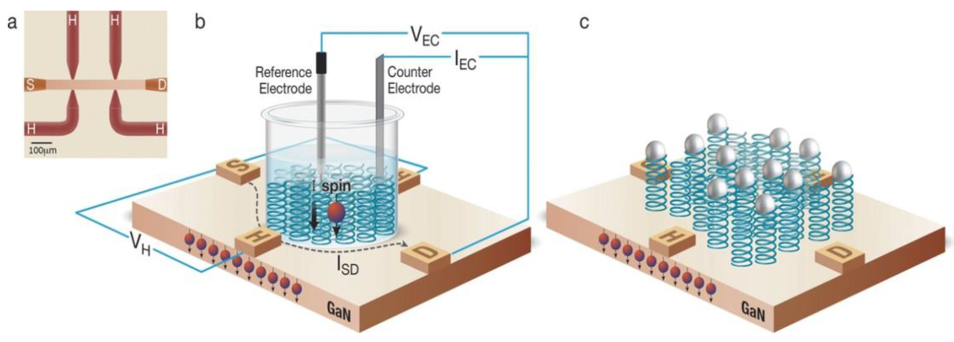 Magnetochemistry 04 00036 g005