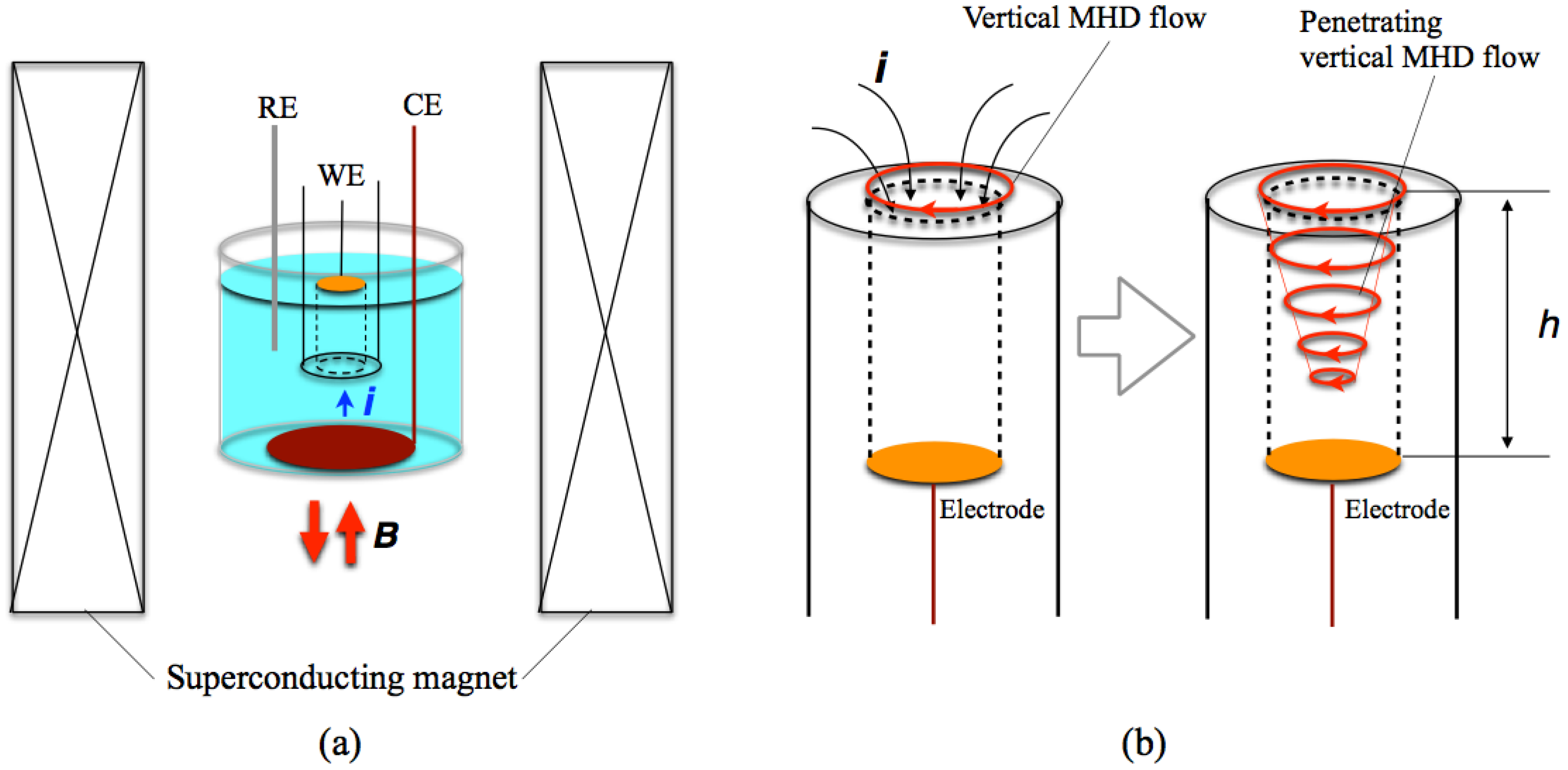 Magnetochemistry 04 00040 g002