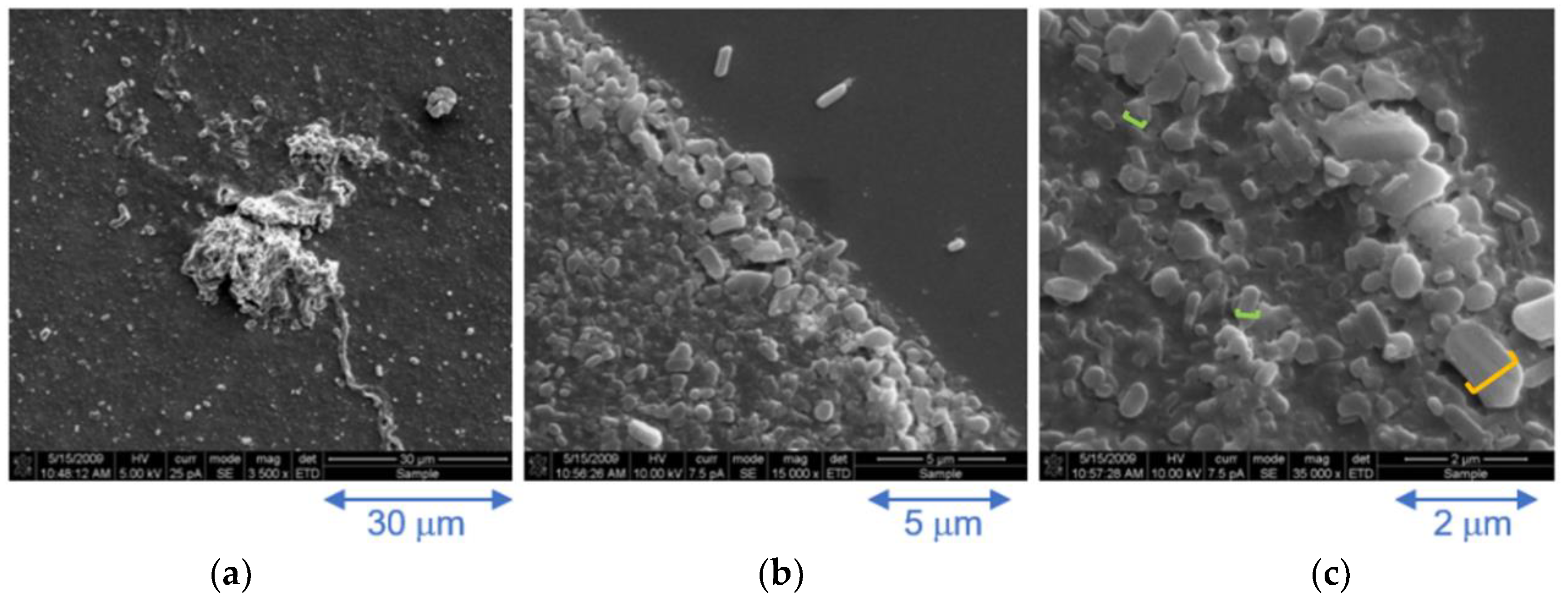 Magnetochemistry 04 00049 g005