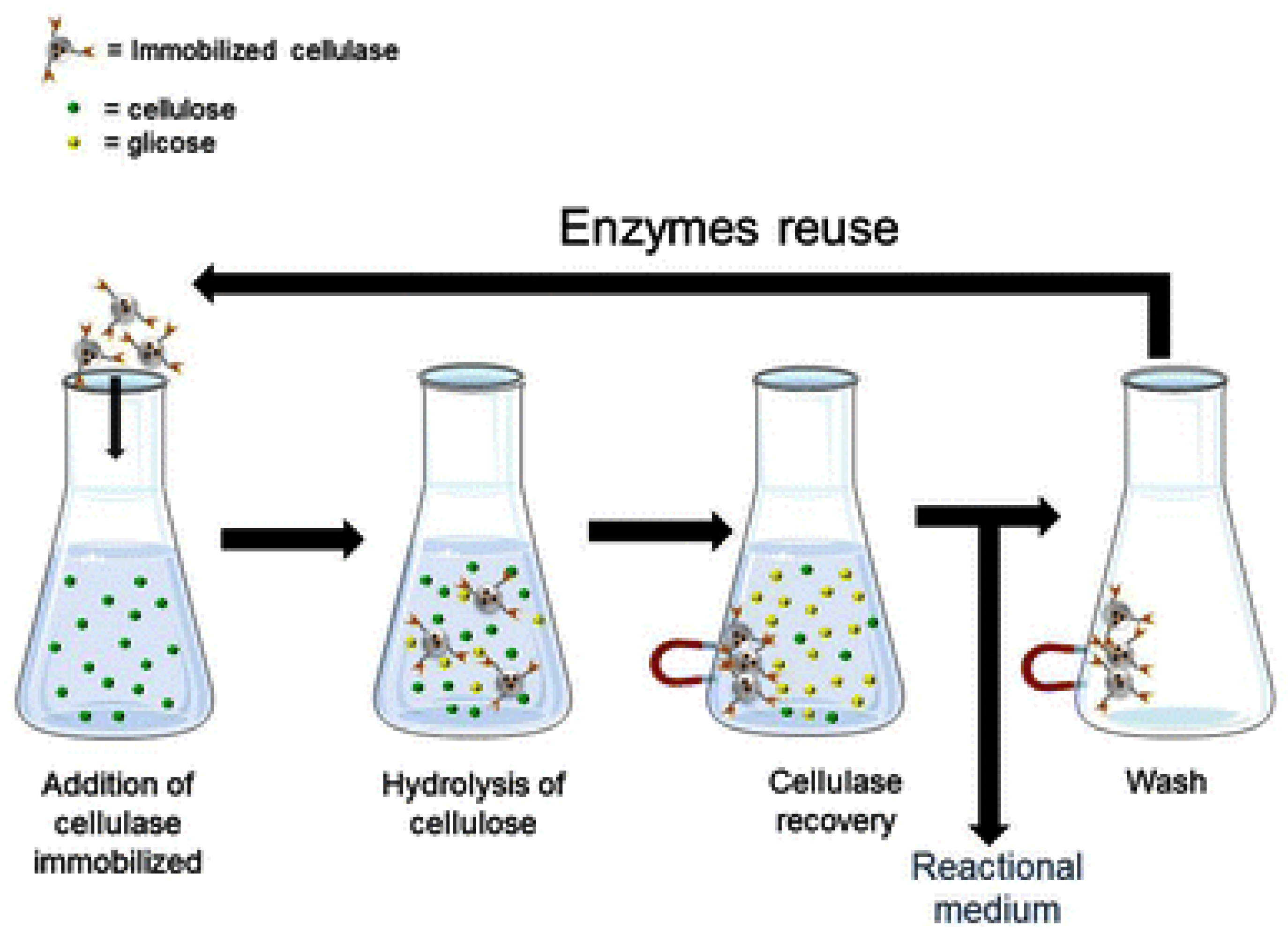 Magnetochemistry 05 00036 sch004