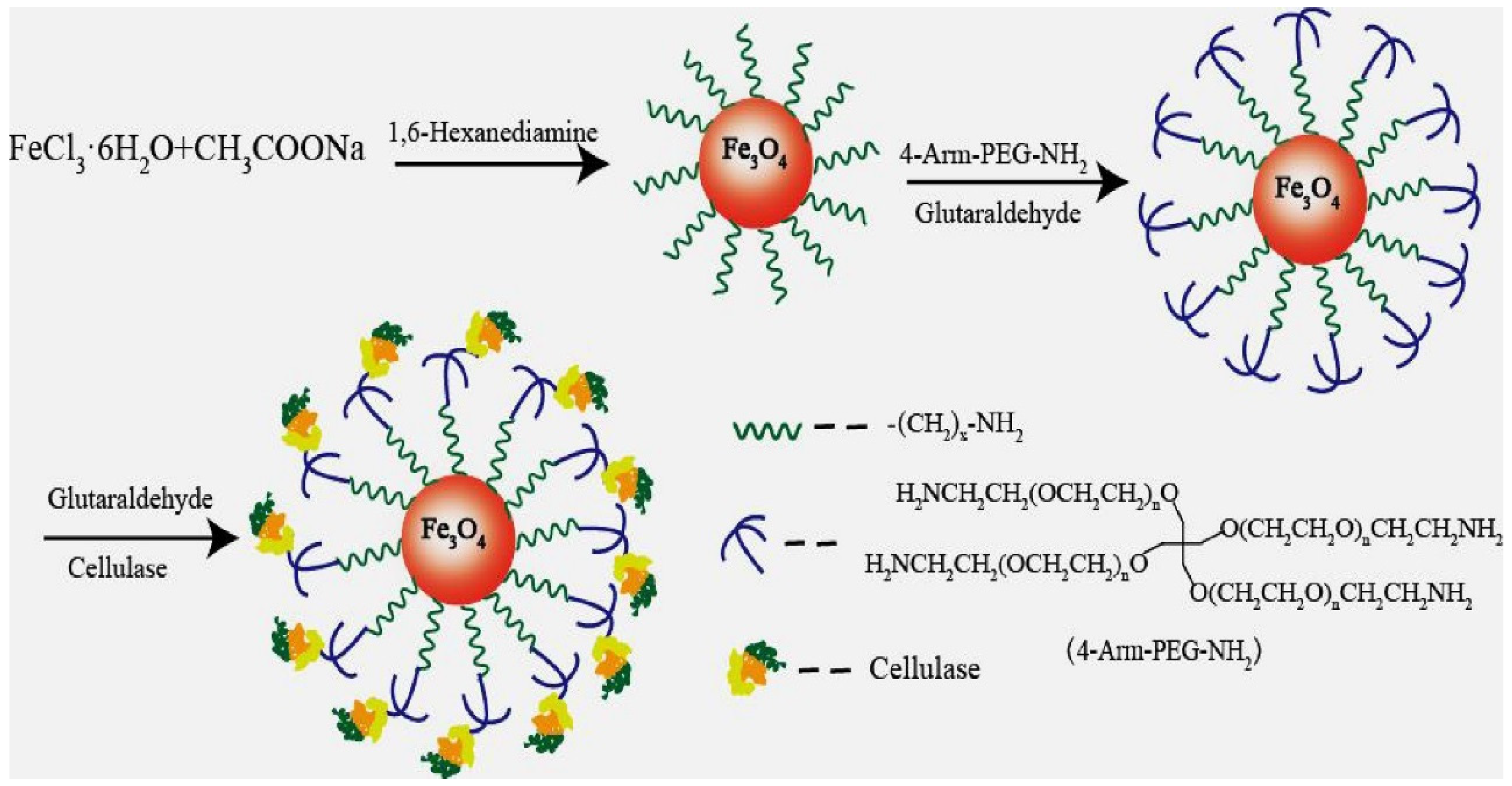 Magnetochemistry 05 00036 sch005