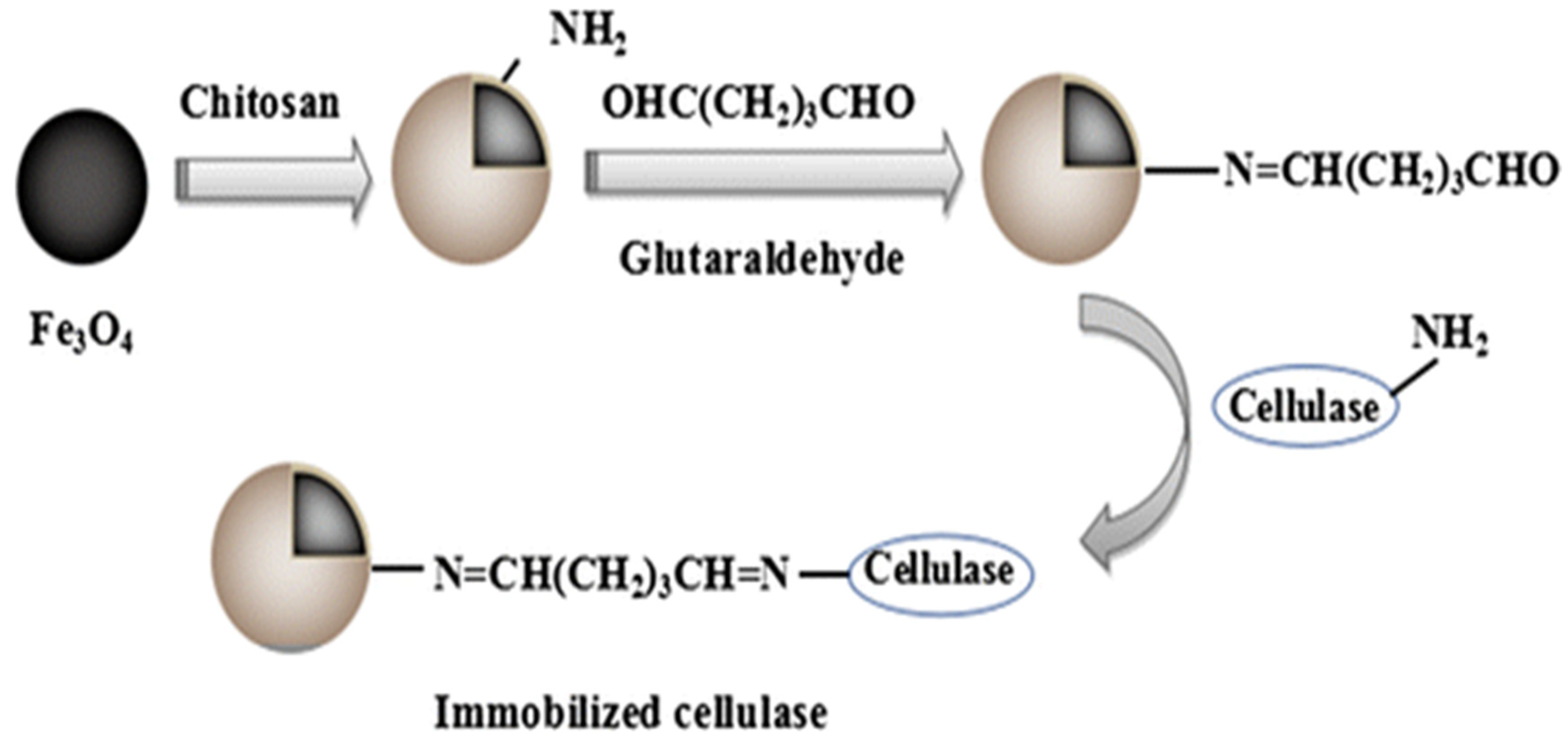 Magnetochemistry 05 00036 sch008
