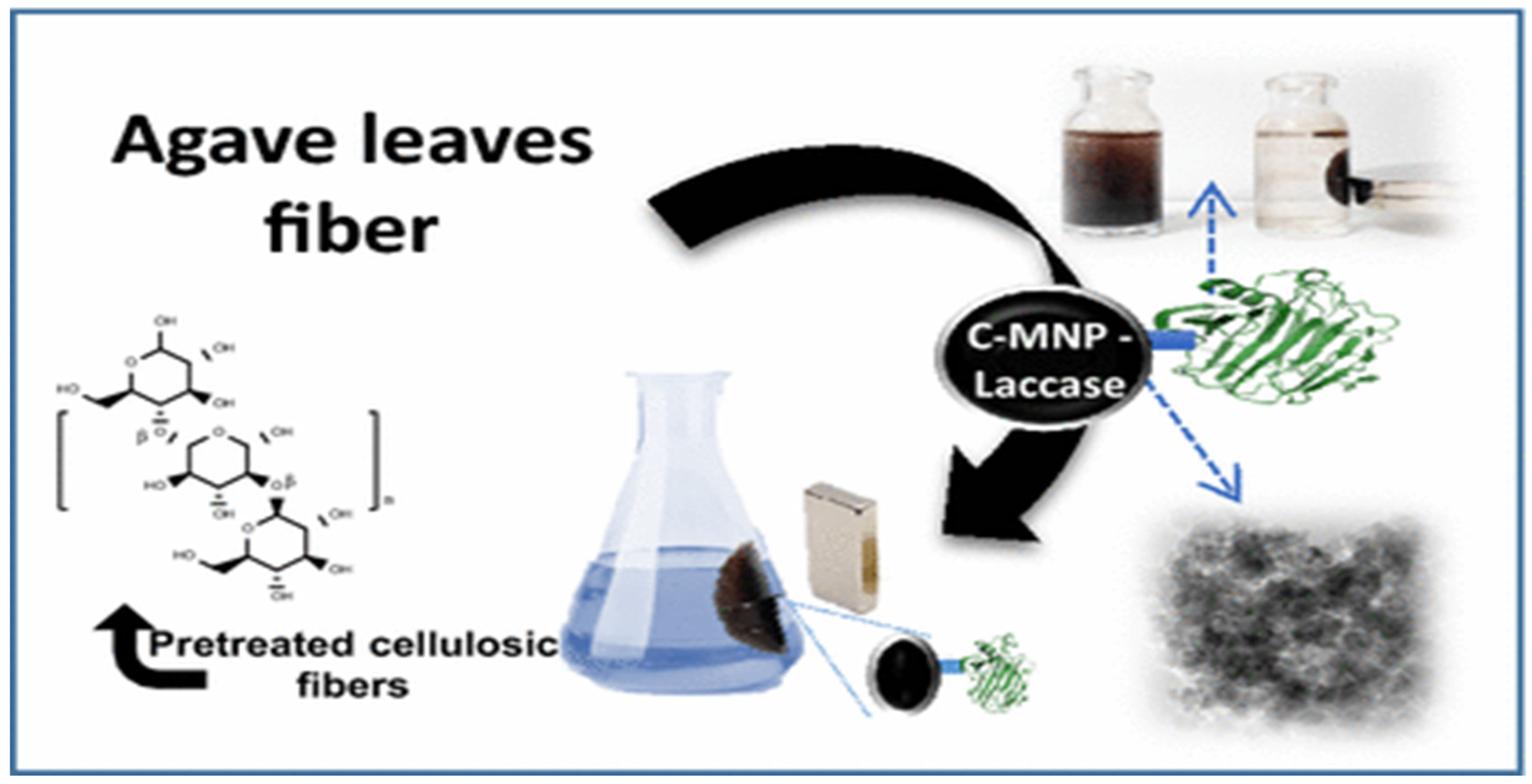 Magnetochemistry 05 00036 sch009