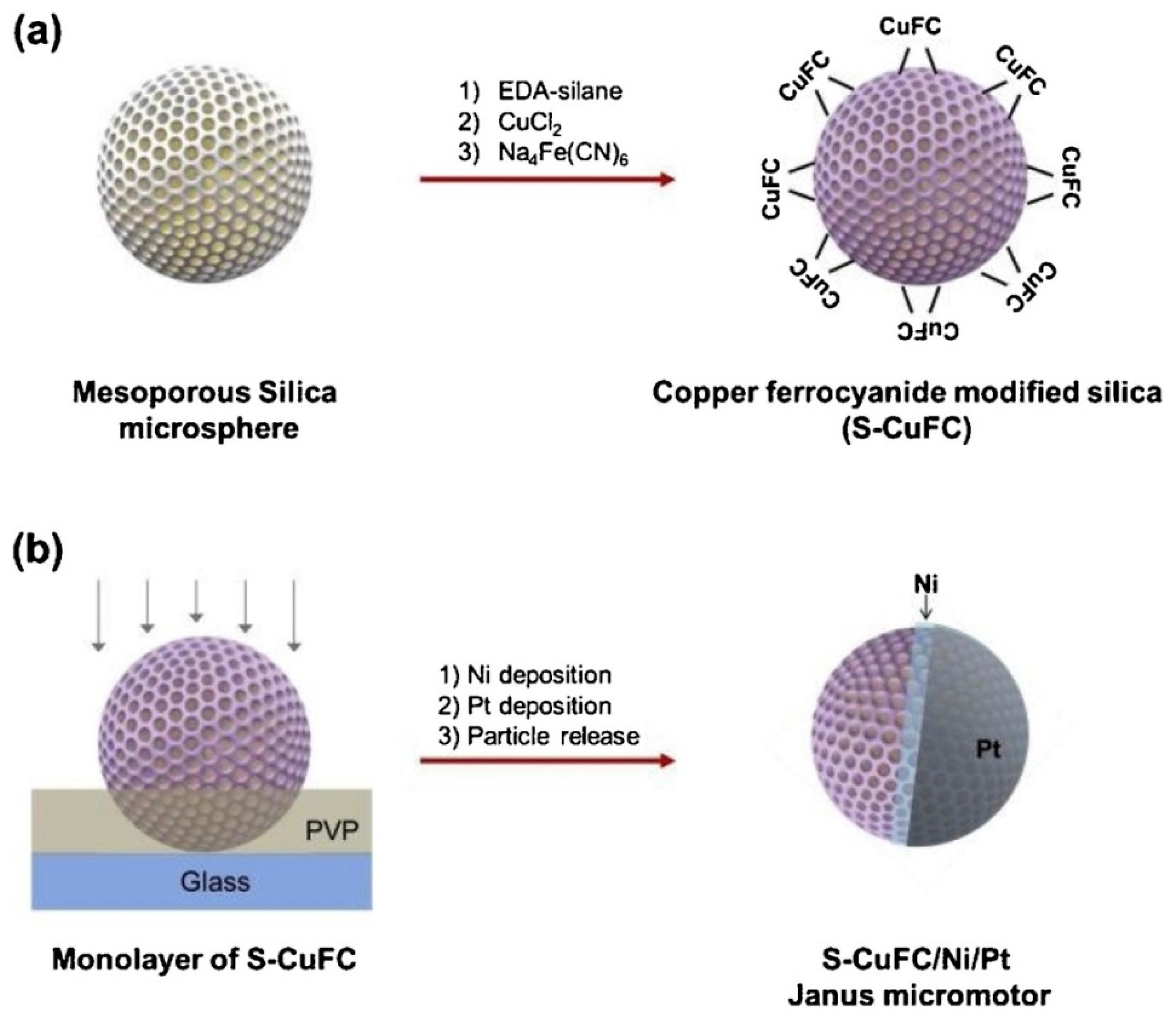 Magnetochemistry 05 00047 g006