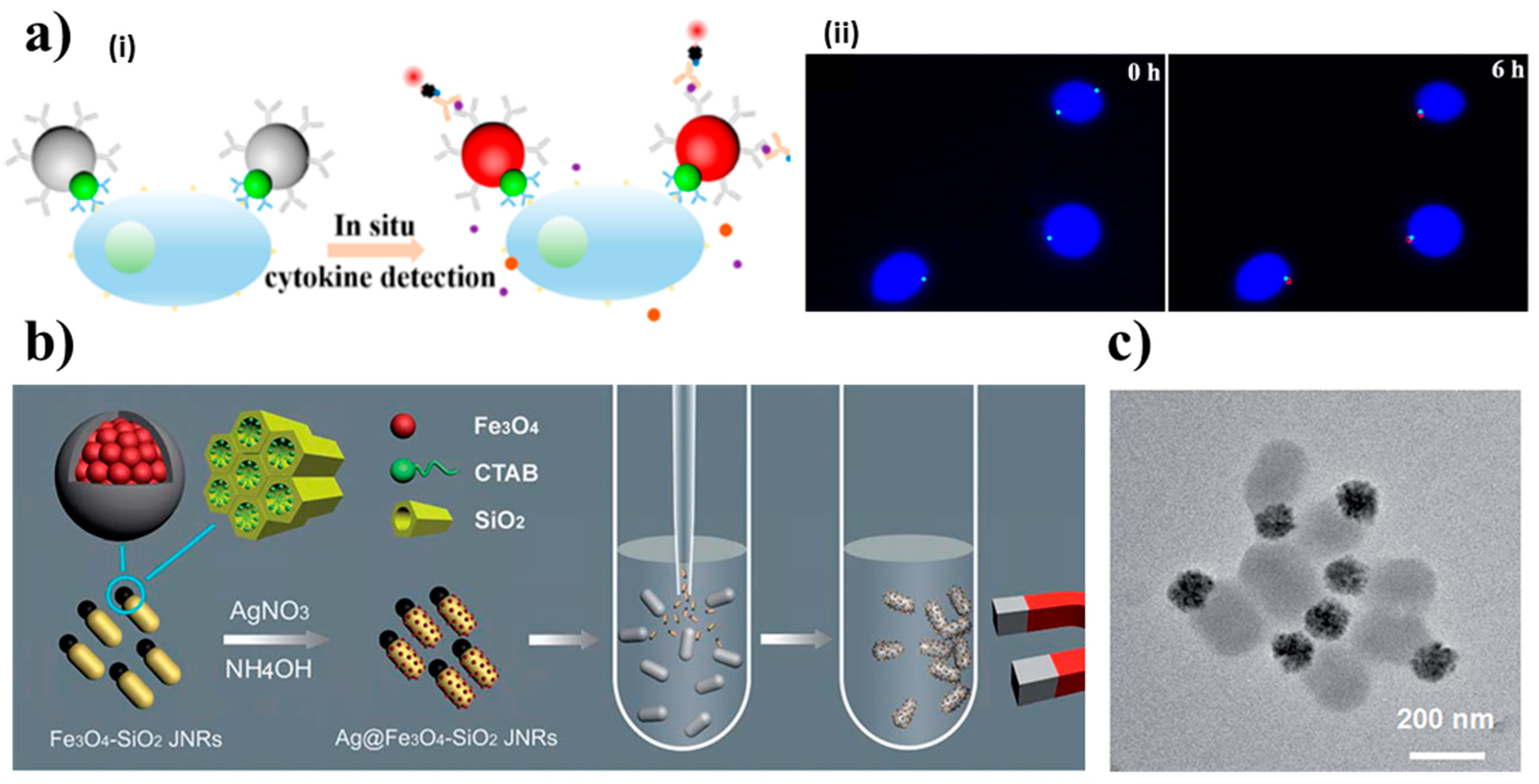 Magnetochemistry 05 00047 g007