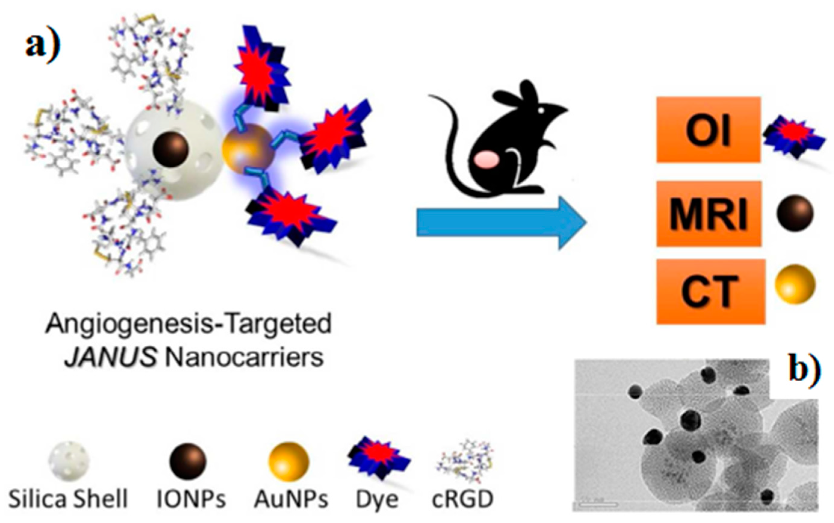 Magnetochemistry 05 00047 g008